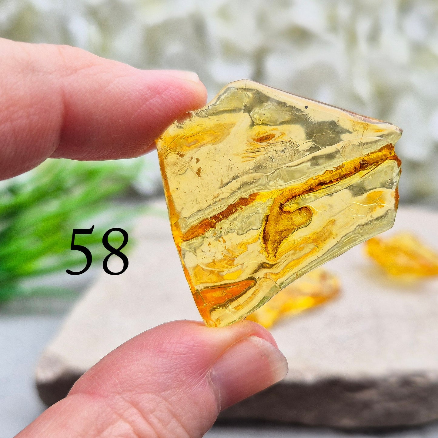 Copal Amber, Colombian