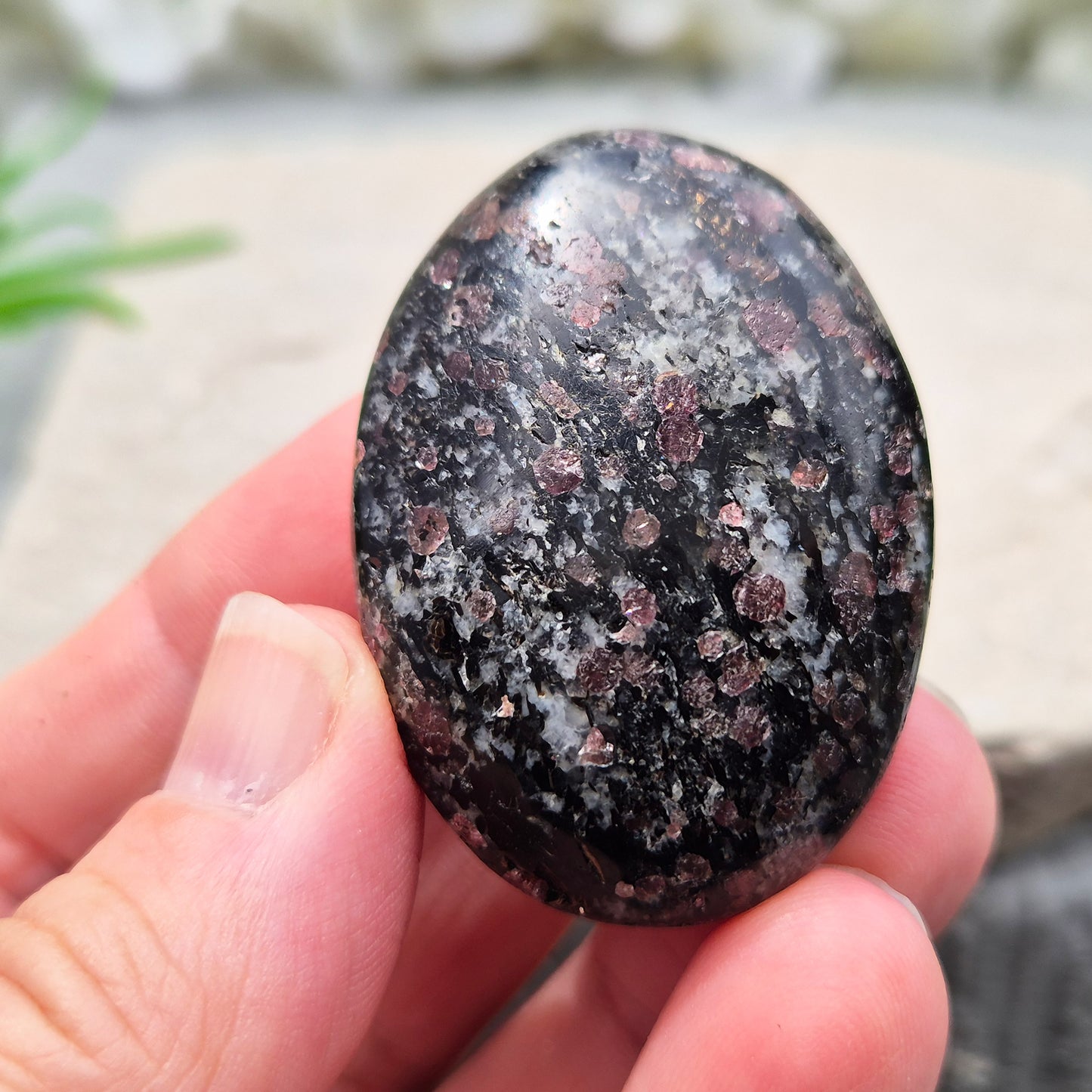 red Garnet in Black Tourmaline palm stone — naturally formed, said to bring grounding, courage and inner strength. Shop UK crystals at Elysian Crystals.