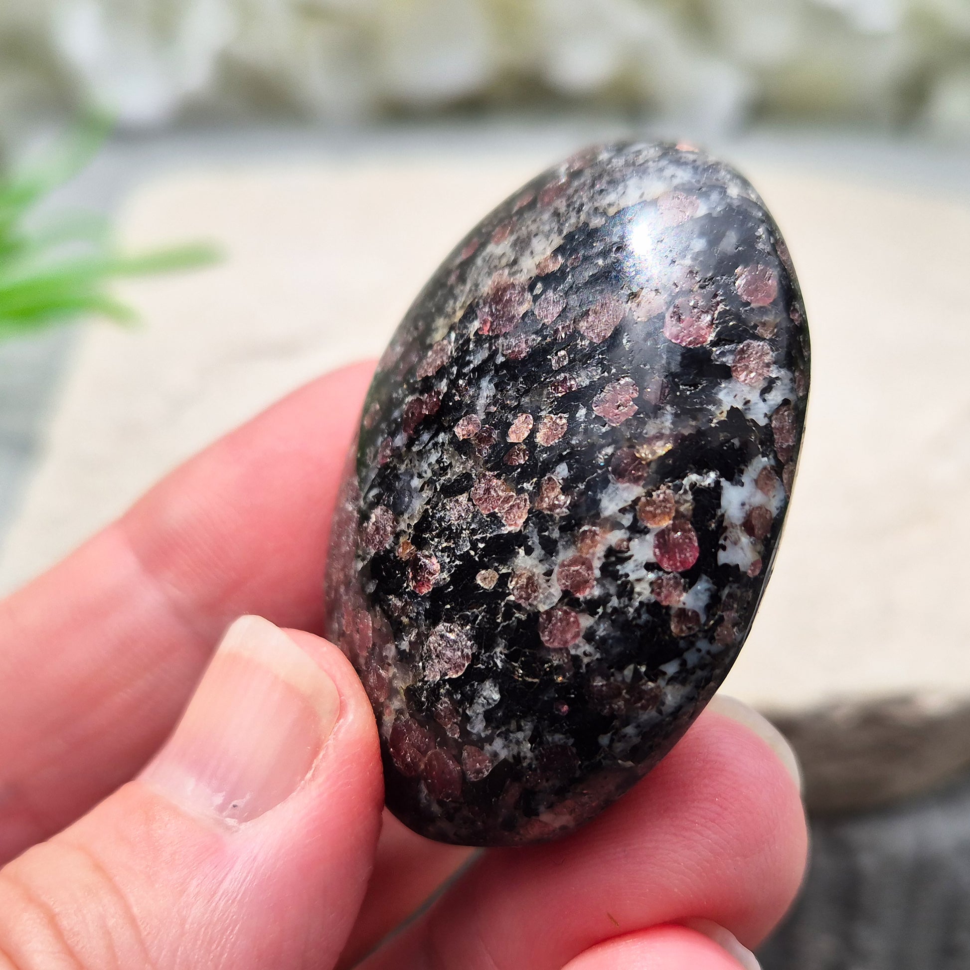 red Garnet in Black Tourmaline palm stone — naturally formed, said to bring grounding, courage and inner strength. Shop UK crystals at Elysian Crystals.
