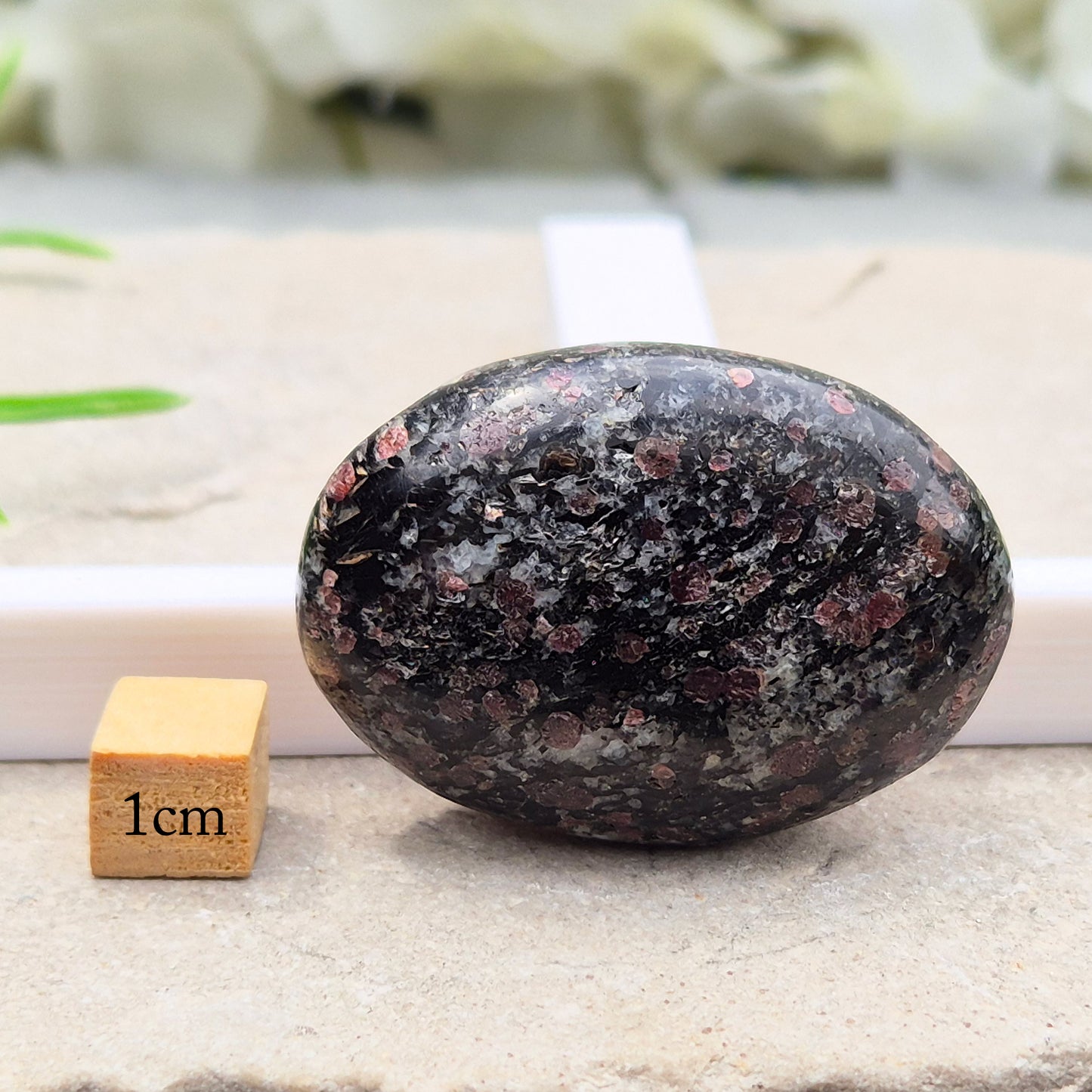 red Garnet in Black Tourmaline palm stone — naturally formed, said to bring grounding, courage and inner strength. Shop UK crystals at Elysian Crystals.