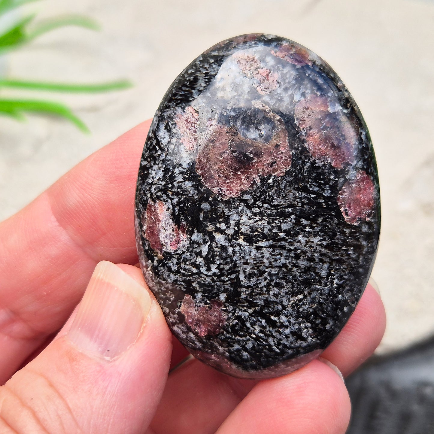 Red Garnet In Black Tourmaline Palm Stone