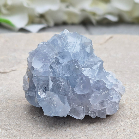 Natural Celestite Crystal Cluster featuring delicate blue crystals. Perfect for crystal collections, home décor, gifting, and spiritual spaces.