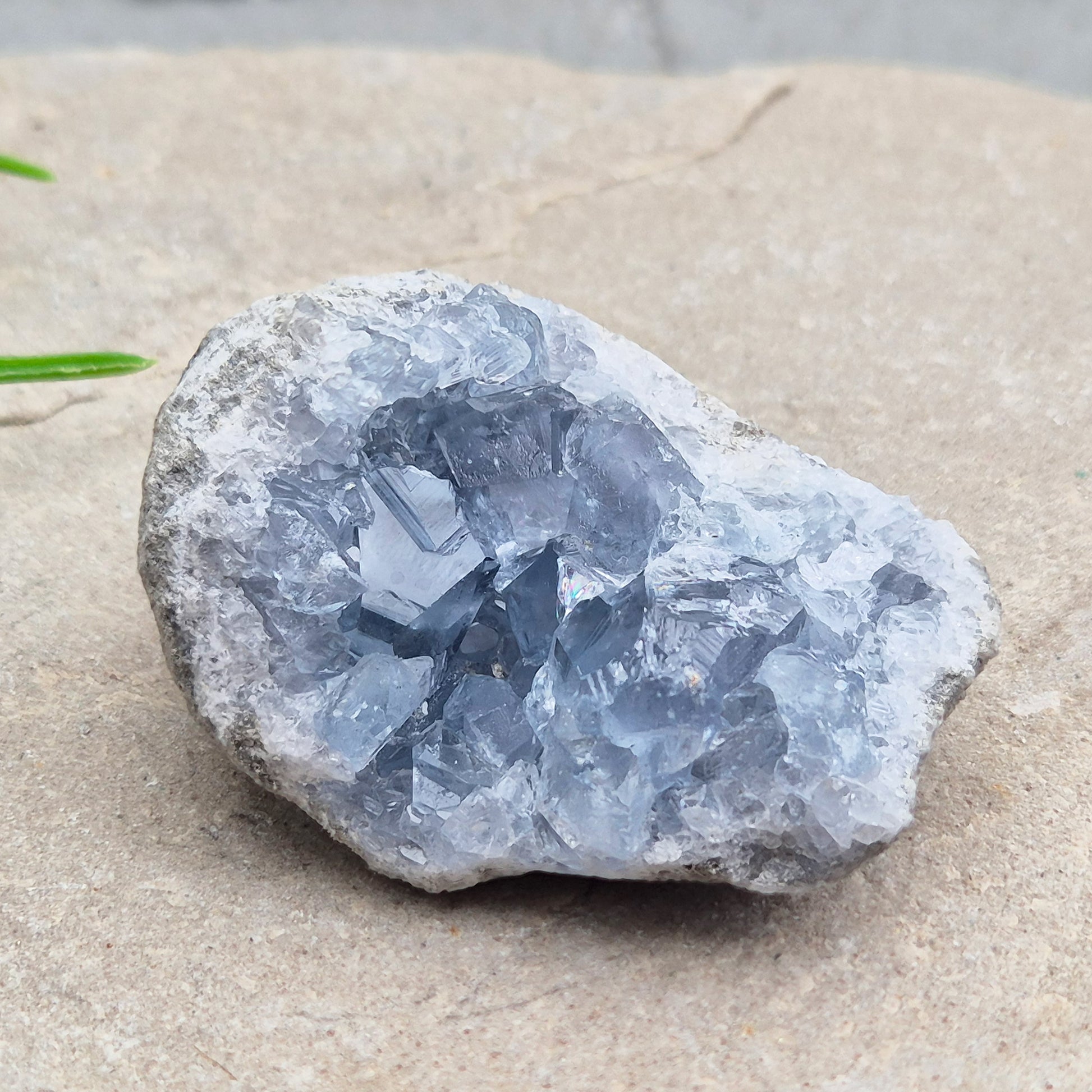 Natural Celestite Crystal Cluster featuring delicate blue crystals. Perfect for crystal collections, home décor, gifting, and spiritual spaces.