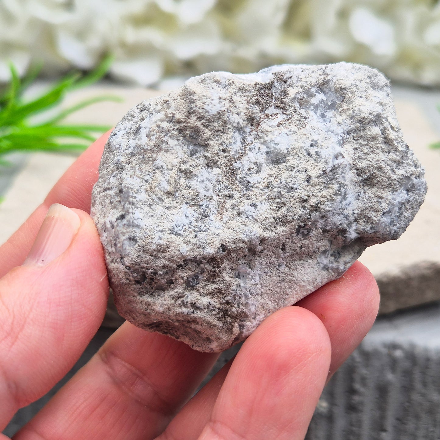 Natural Celestite Crystal Cluster featuring delicate blue crystals. Perfect for crystal collections, home décor, gifting, and spiritual spaces.