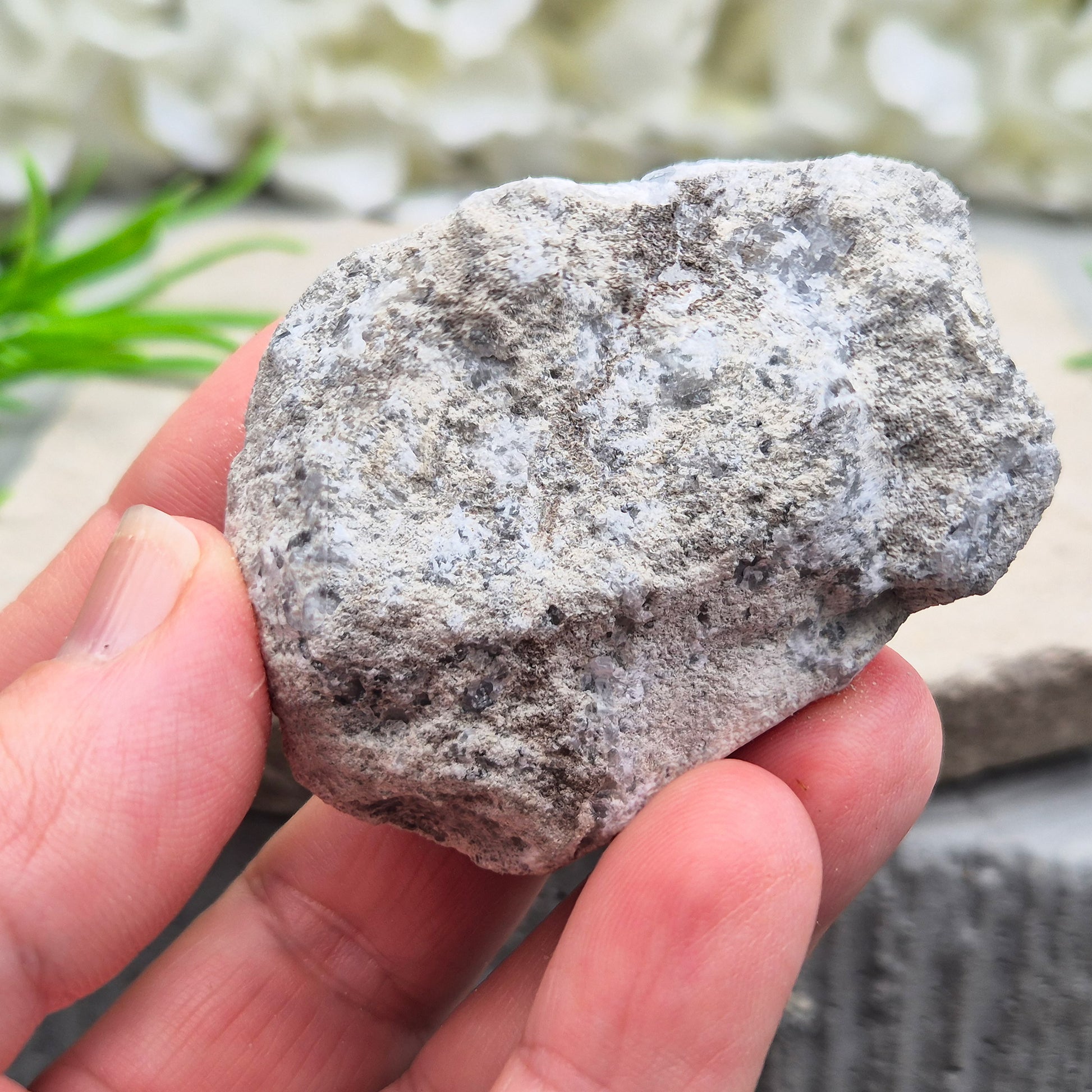 Natural Celestite Crystal Cluster featuring delicate blue crystals. Perfect for crystal collections, home décor, gifting, and spiritual spaces.