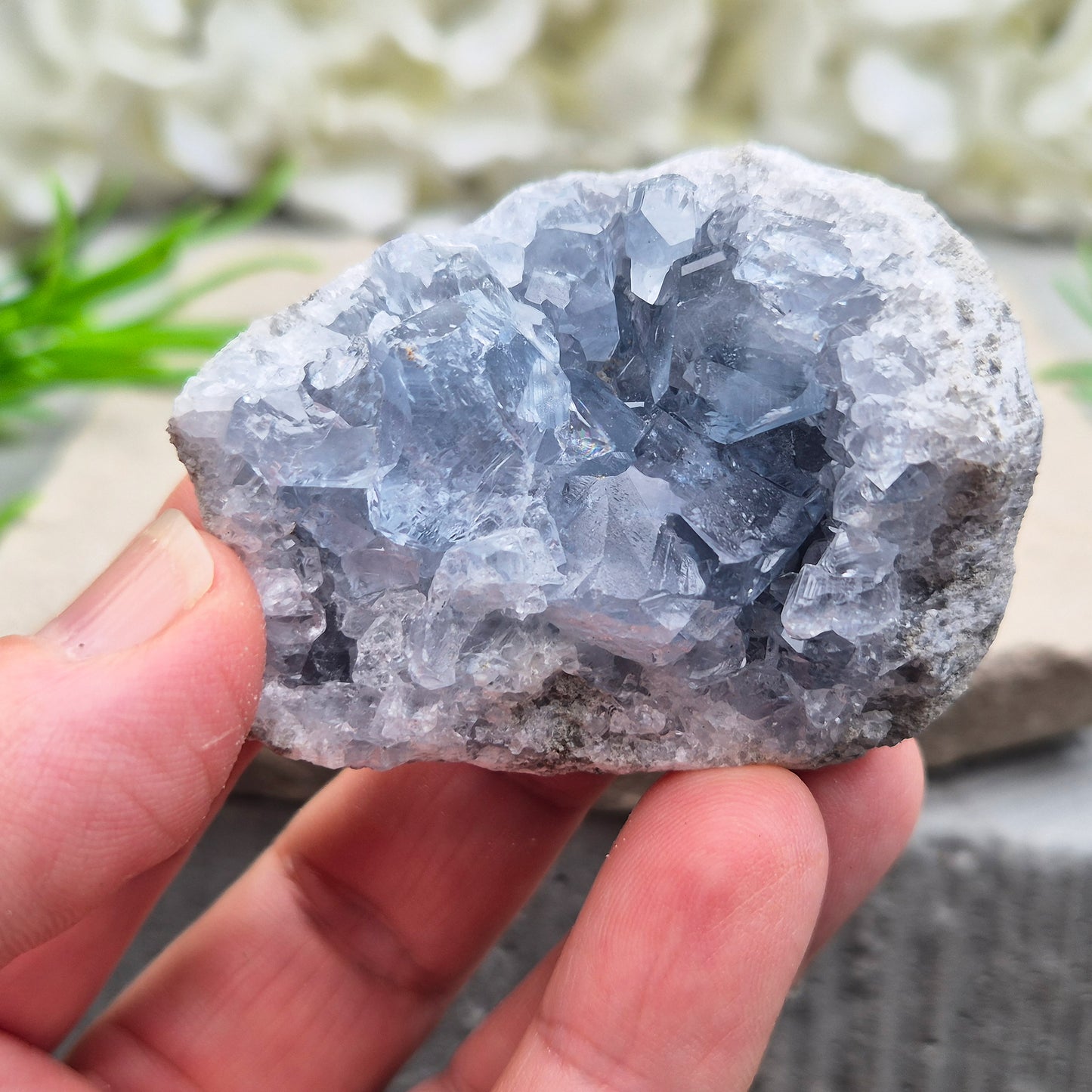 Natural Celestite Crystal Cluster featuring delicate blue crystals. Perfect for crystal collections, home décor, gifting, and spiritual spaces.