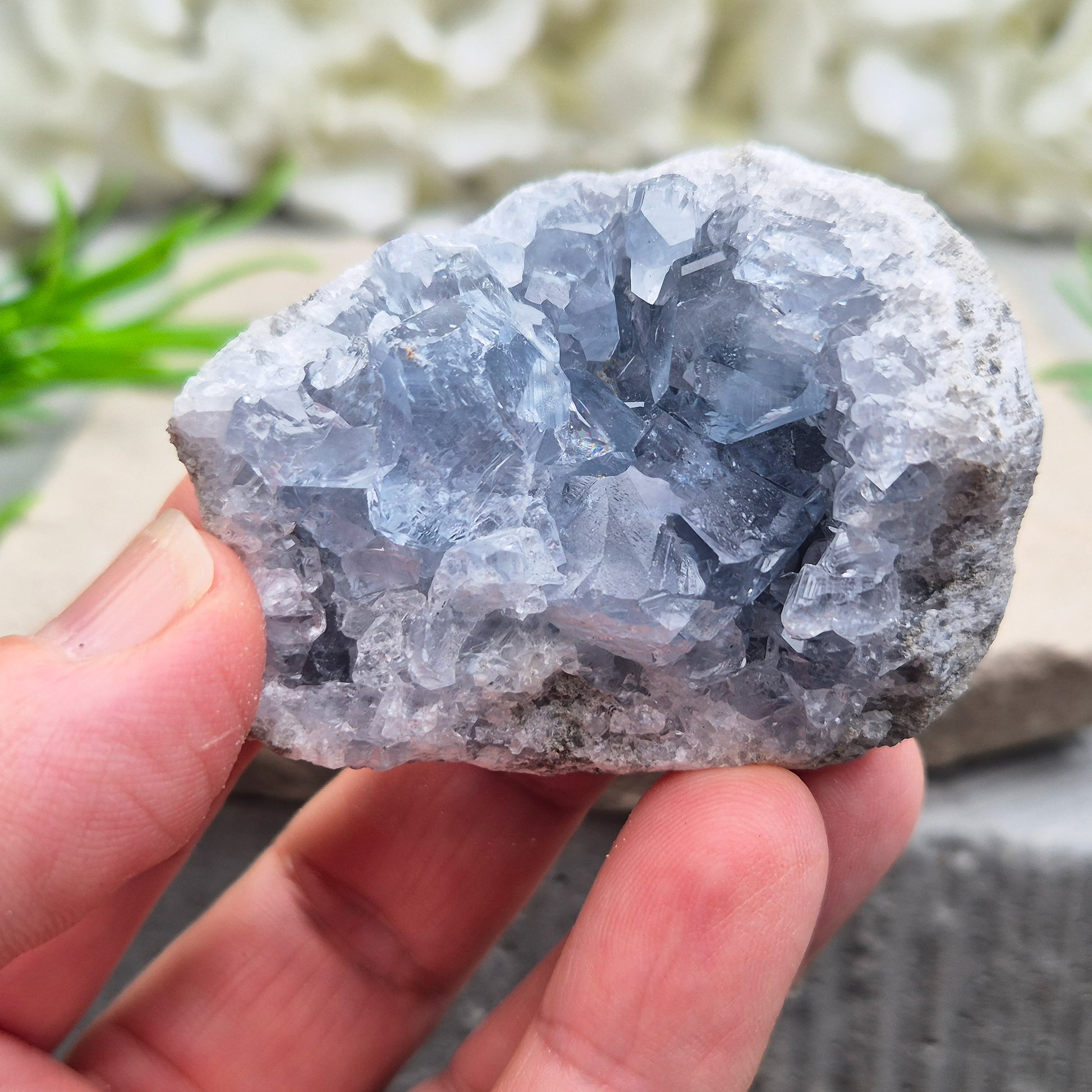Natural Celestite Crystal Cluster featuring delicate blue crystals. Perfect for crystal collections, home décor, gifting, and spiritual spaces.