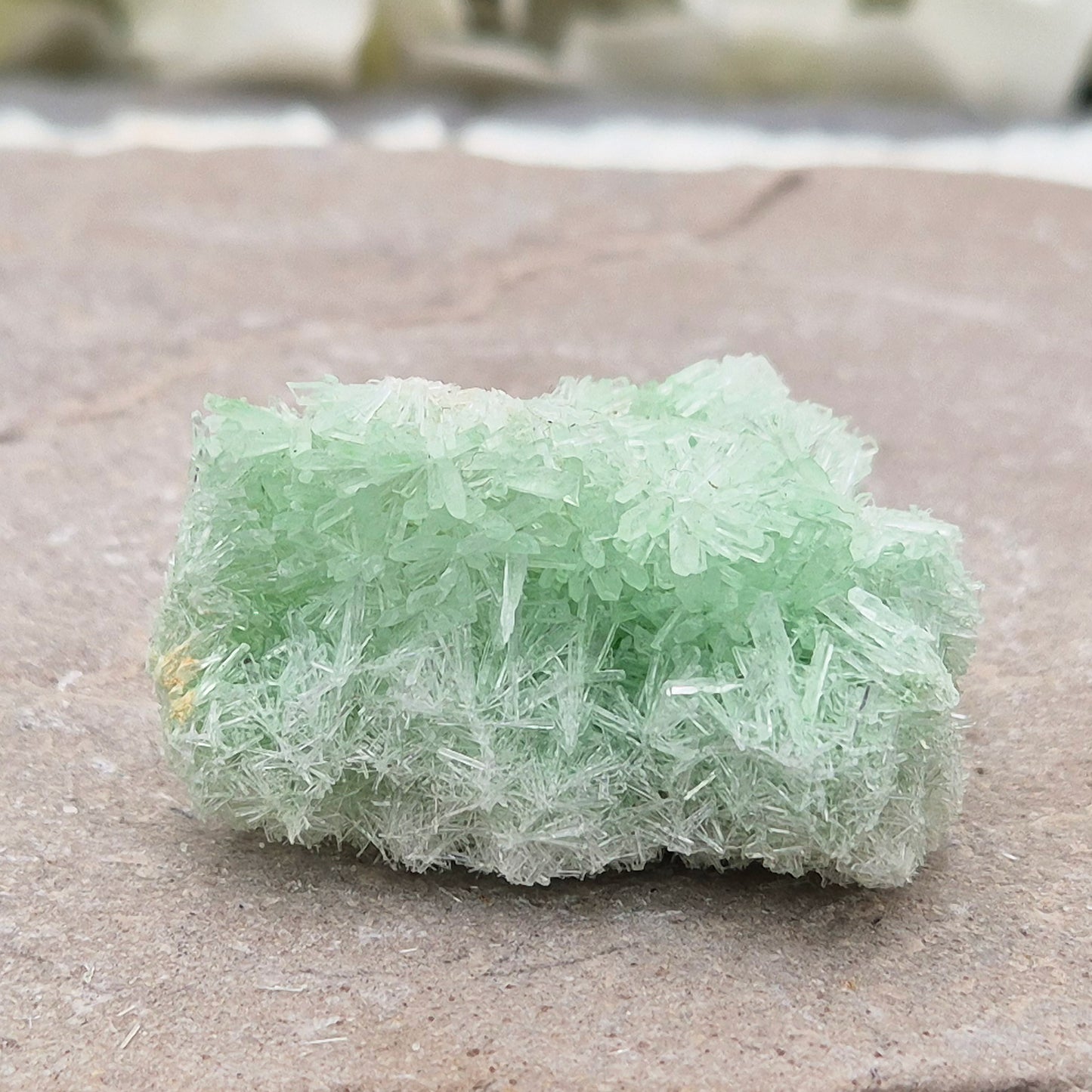 Rare Green Gypsum Cluster from Pernatty Lagoon, Australia. Delicate pale green crystals, ideal for meditation spaces and mineral collectors. UK stock.