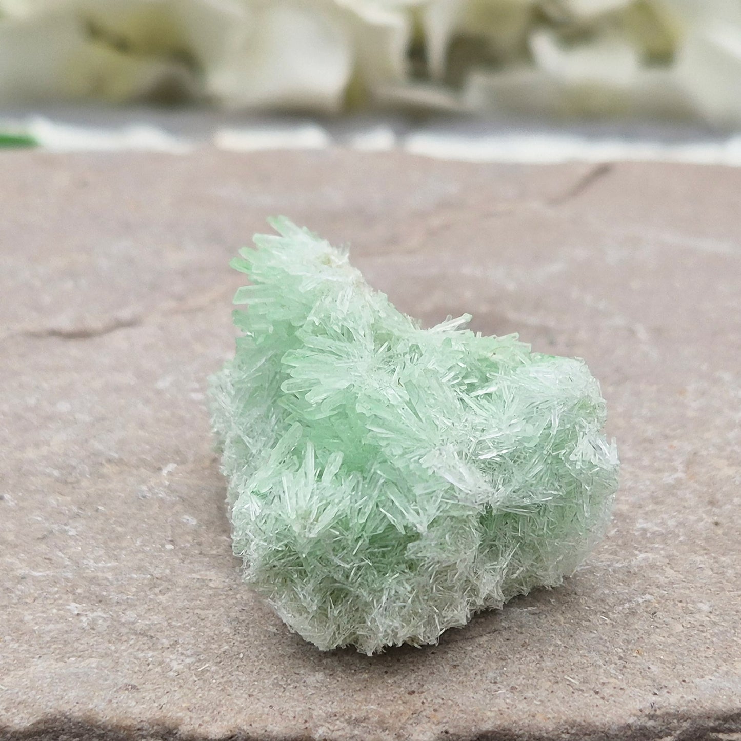 Rare Green Gypsum Cluster from Pernatty Lagoon, Australia. Delicate pale green crystals, ideal for meditation spaces and mineral collectors. UK stock.