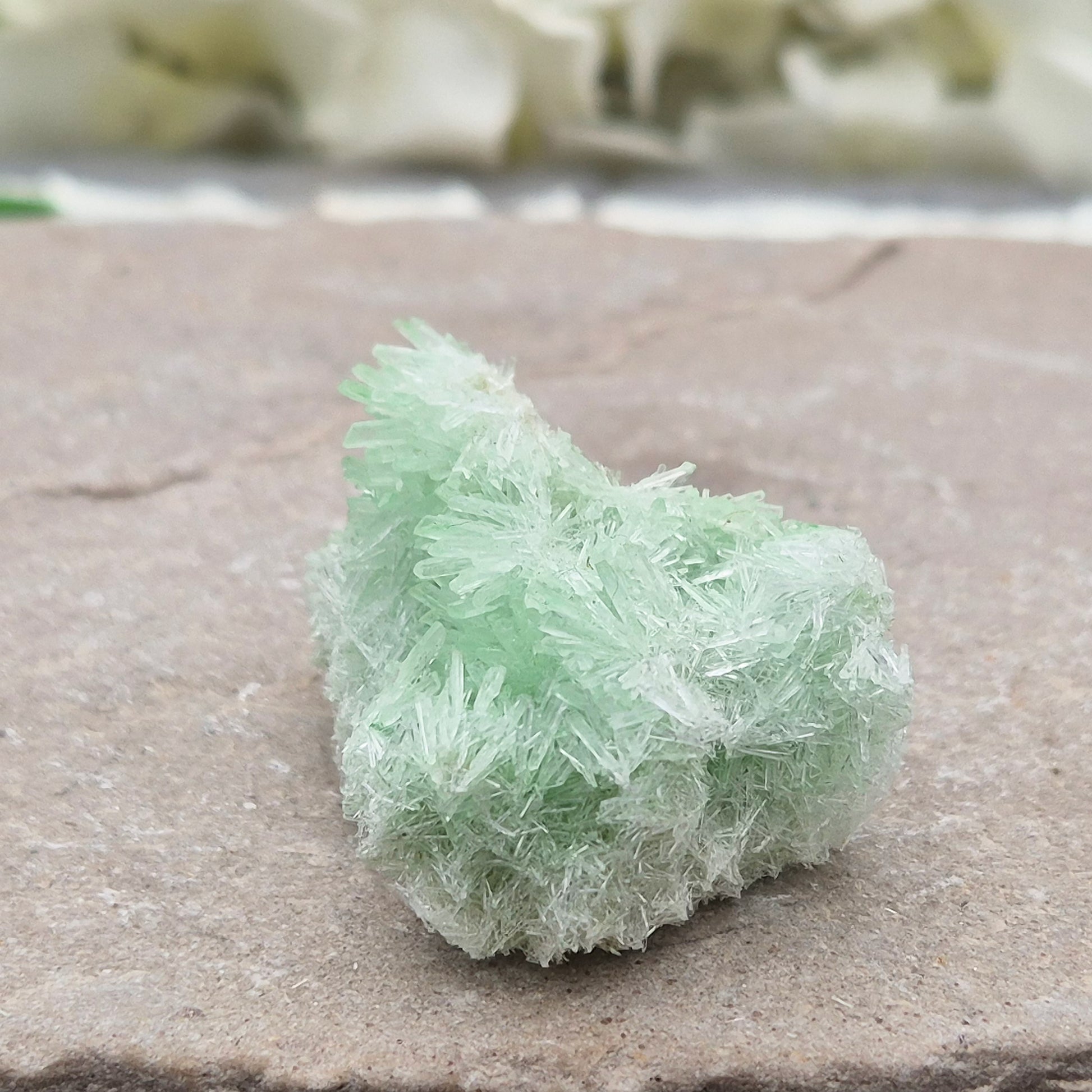 Rare Green Gypsum Cluster from Pernatty Lagoon, Australia. Delicate pale green crystals, ideal for meditation spaces and mineral collectors. UK stock.