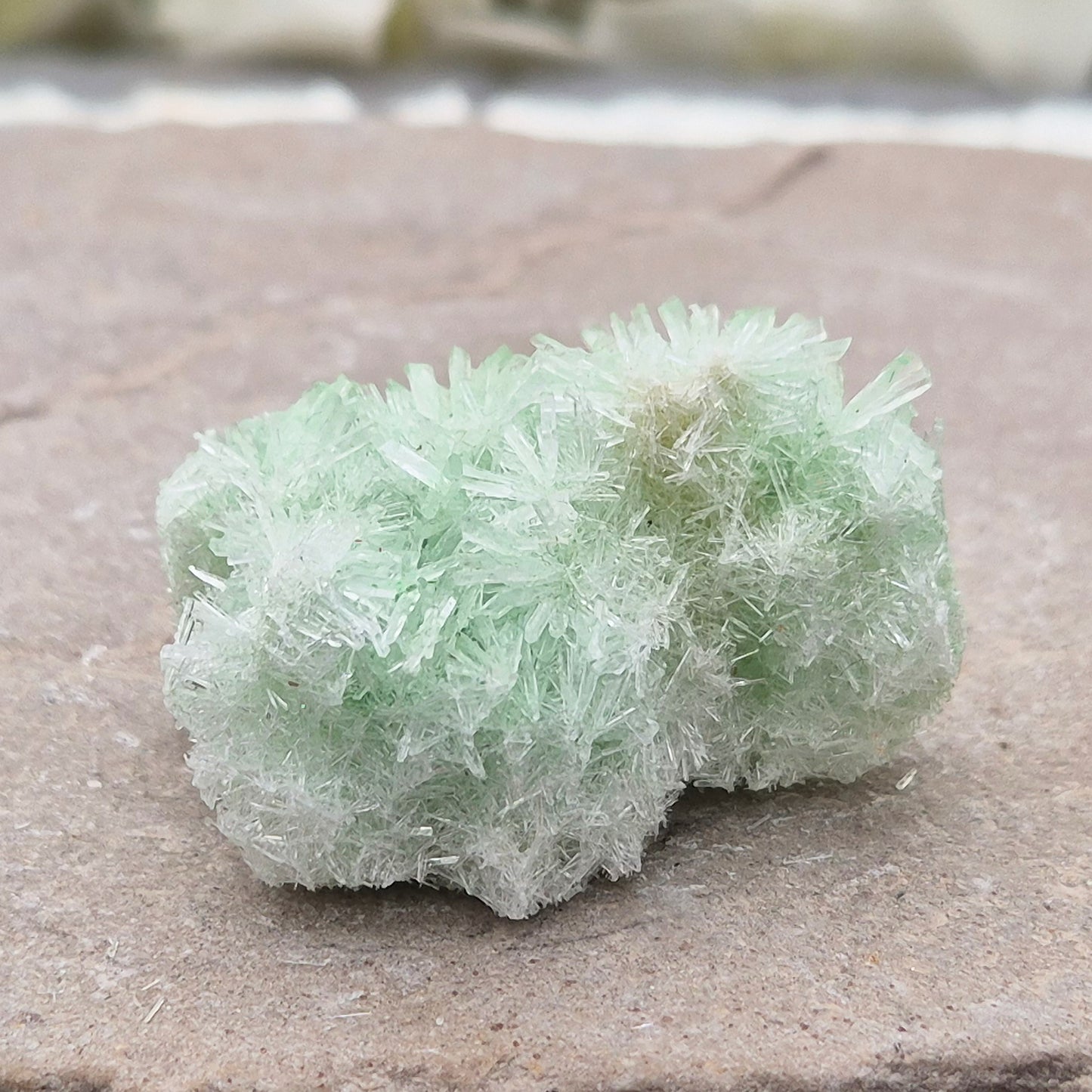 Rare Green Gypsum Cluster from Pernatty Lagoon, Australia. Delicate pale green crystals, ideal for meditation spaces and mineral collectors. UK stock.