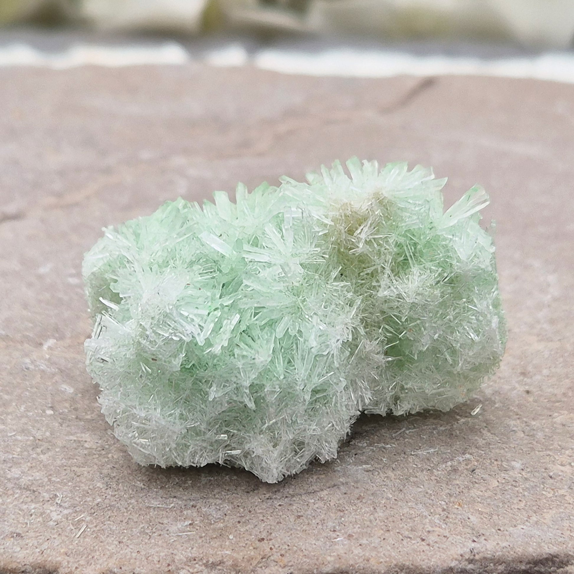 Rare Green Gypsum Cluster from Pernatty Lagoon, Australia. Delicate pale green crystals, ideal for meditation spaces and mineral collectors. UK stock.