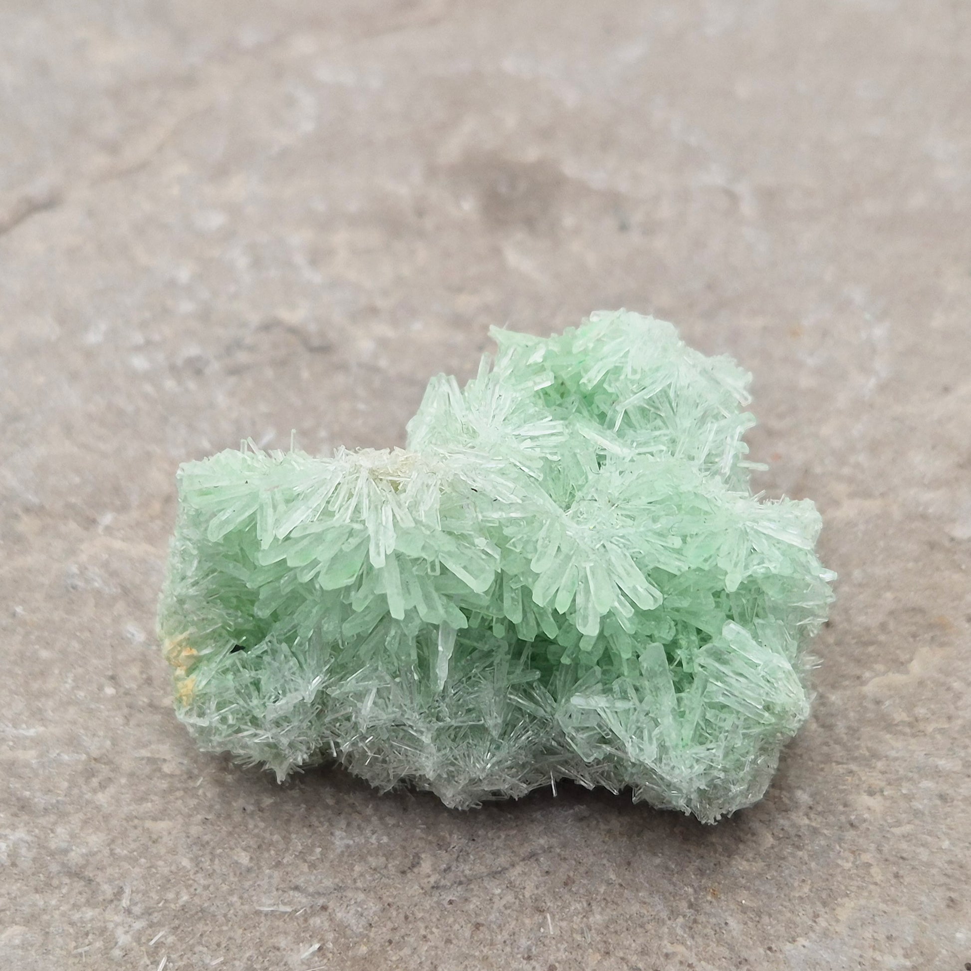 Rare Green Gypsum Cluster from Pernatty Lagoon, Australia. Delicate pale green crystals, ideal for meditation spaces and mineral collectors. UK stock.