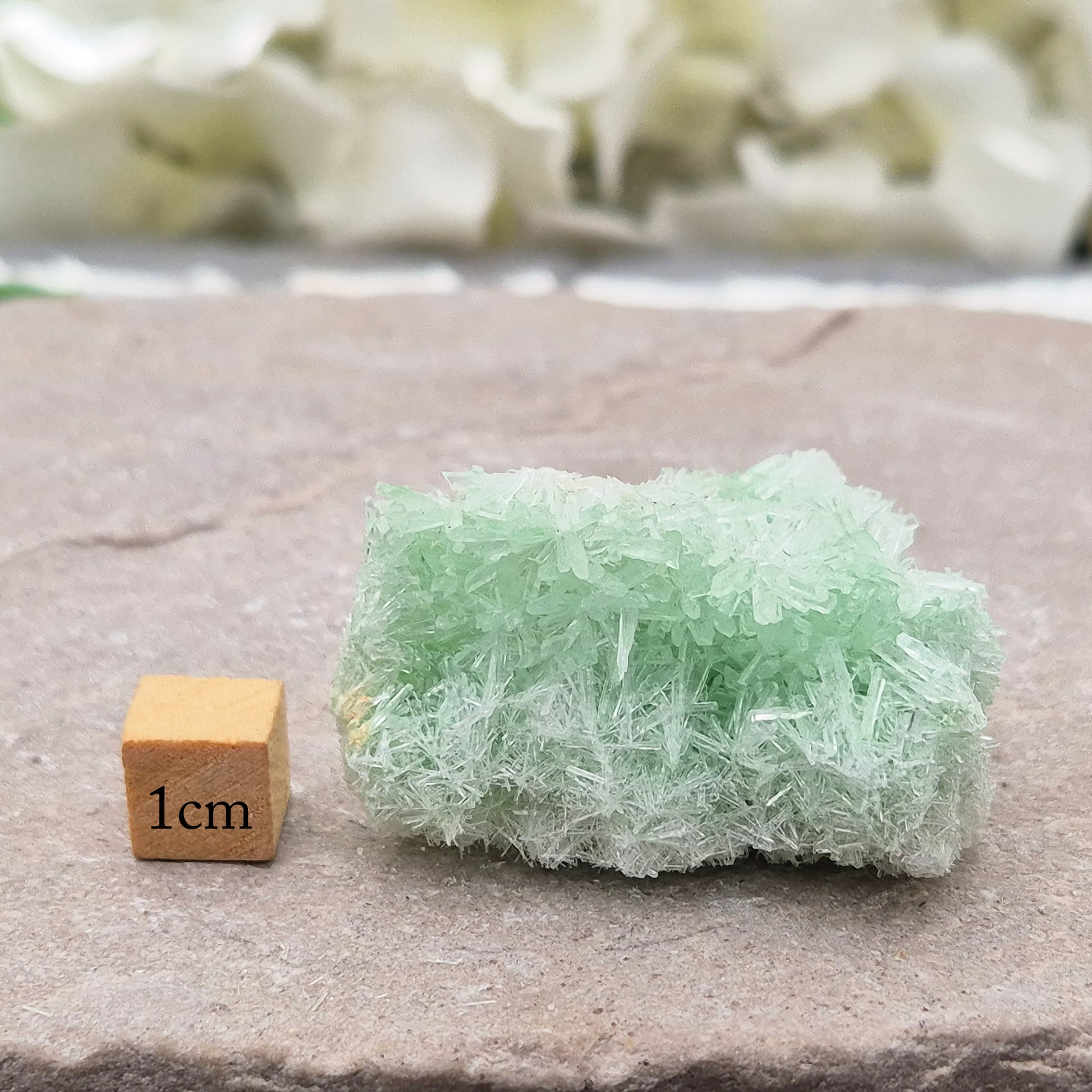 Rare Green Gypsum Cluster from Pernatty Lagoon, Australia. Delicate pale green crystals, ideal for meditation spaces and mineral collectors. UK stock.