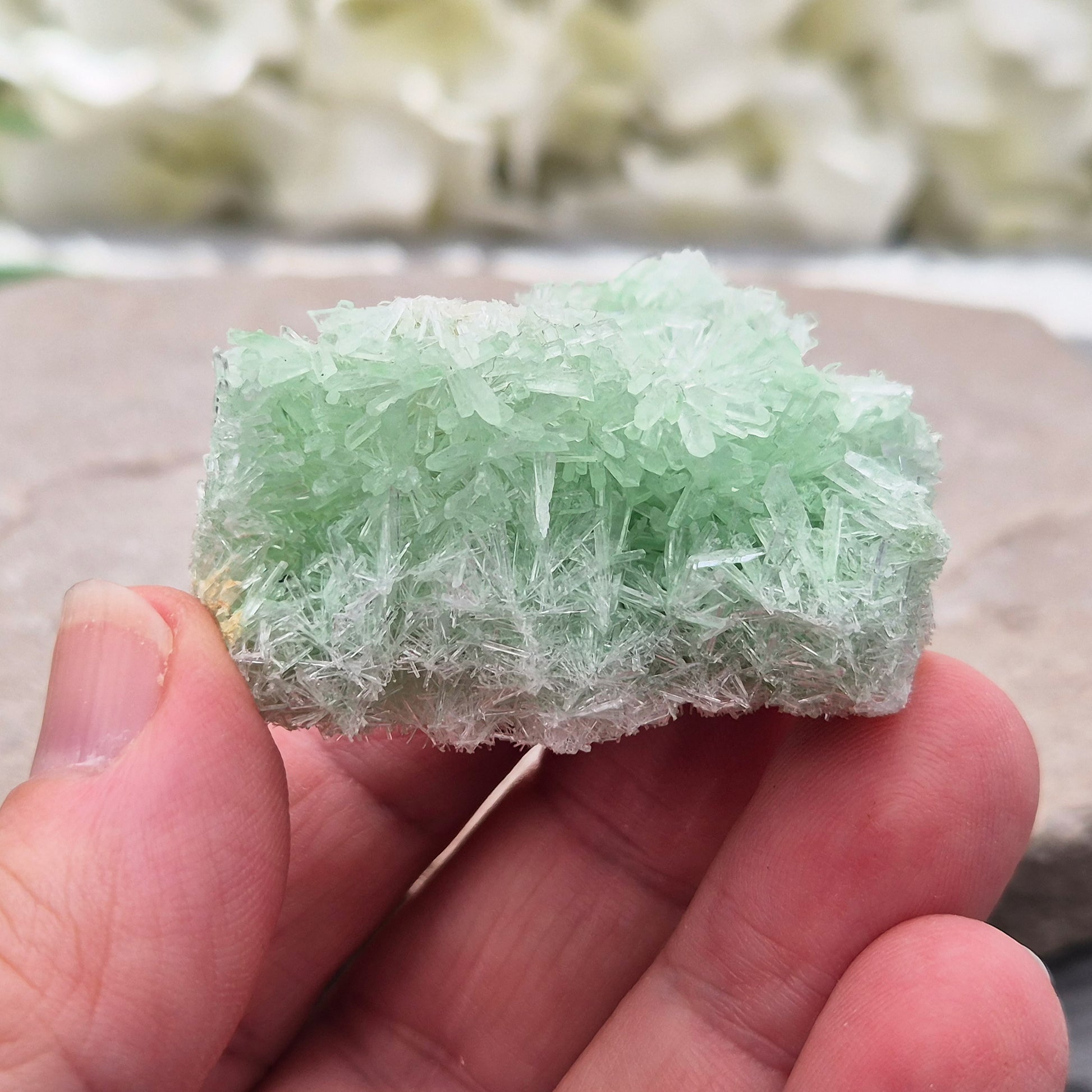 Rare Green Gypsum Cluster from Pernatty Lagoon, Australia. Delicate pale green crystals, ideal for meditation spaces and mineral collectors. UK stock.