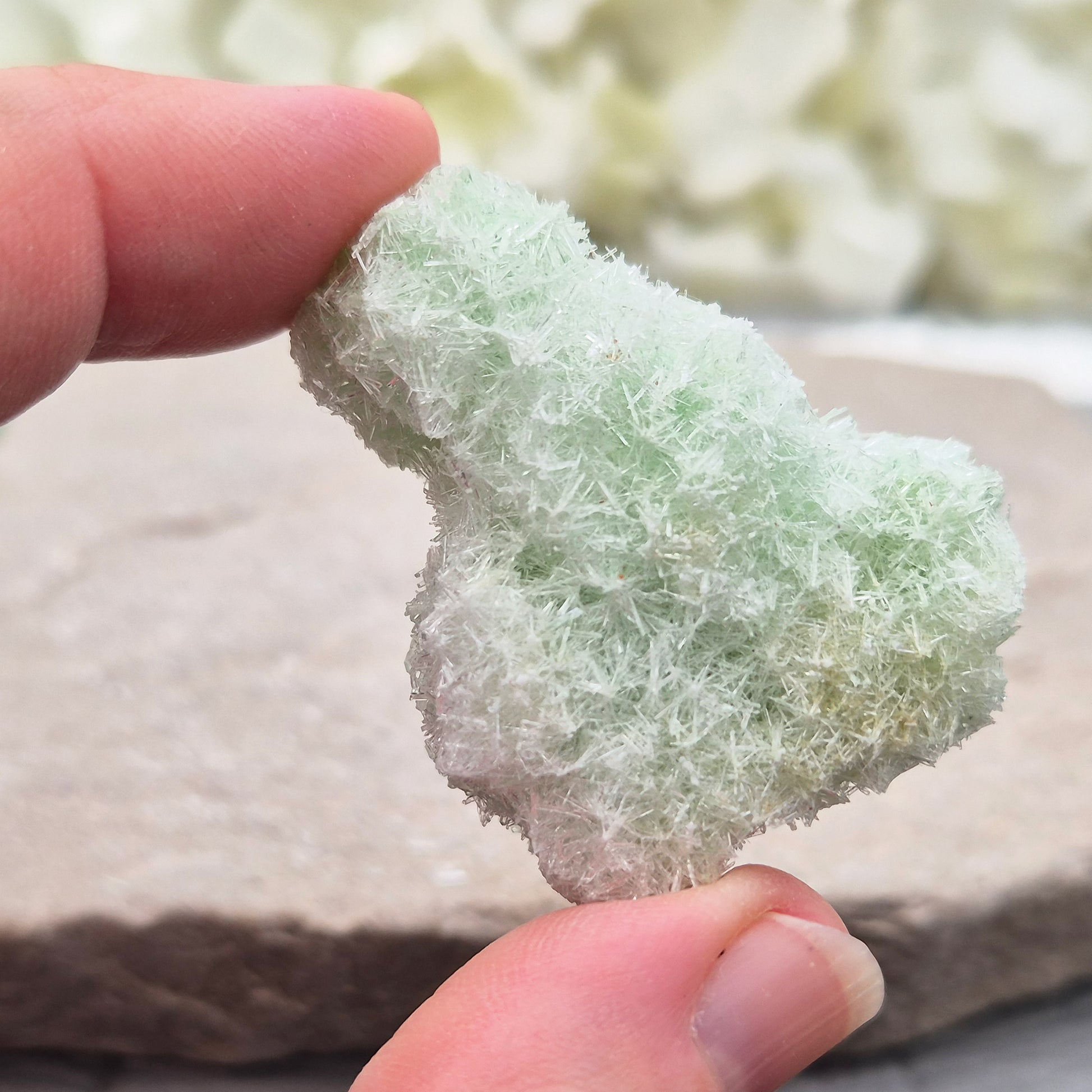 Rare Green Gypsum Cluster from Pernatty Lagoon, Australia. Delicate pale green crystals, ideal for meditation spaces and mineral collectors. UK stock.