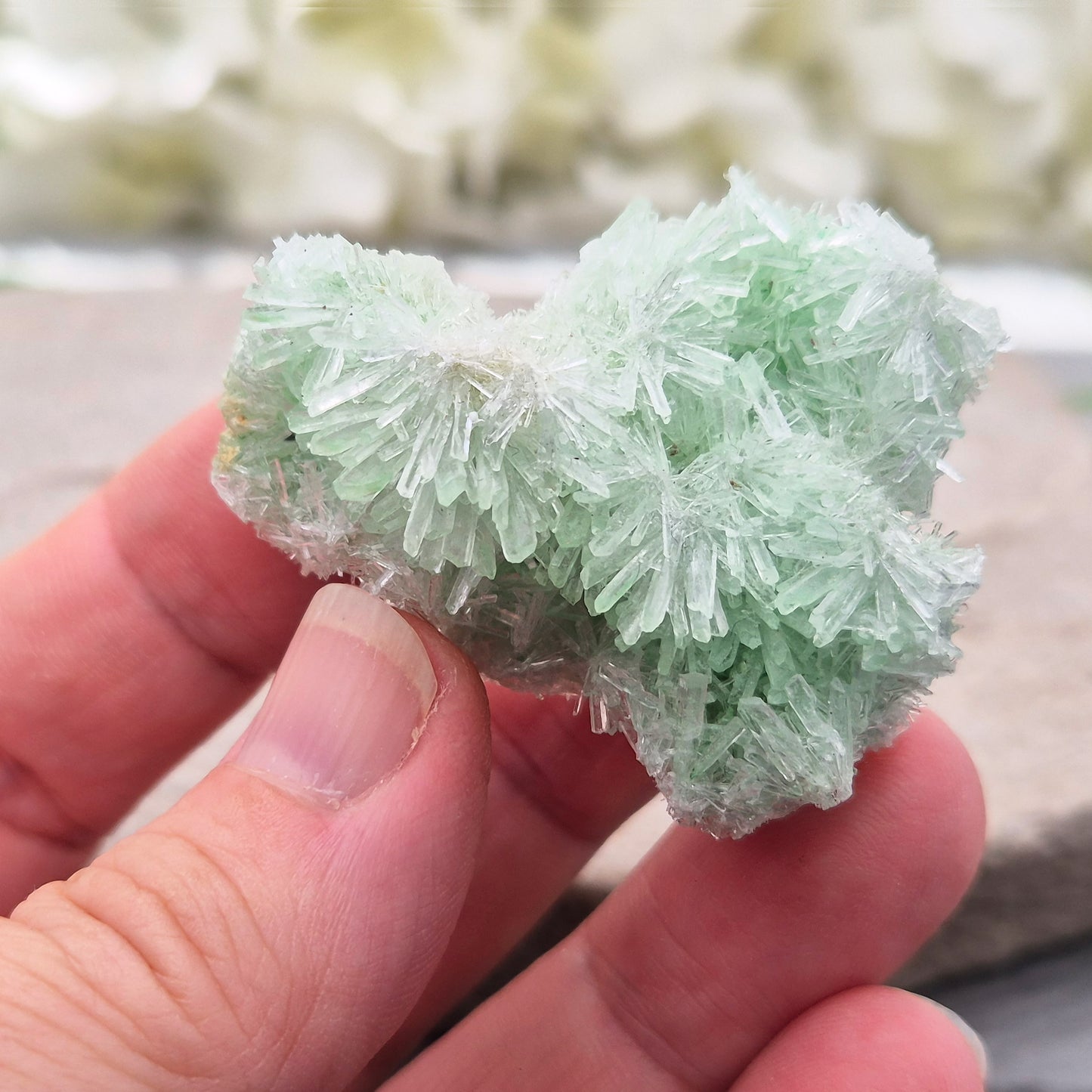Rare Green Gypsum Cluster from Pernatty Lagoon, Australia. Delicate pale green crystals, ideal for meditation spaces and mineral collectors. UK stock.