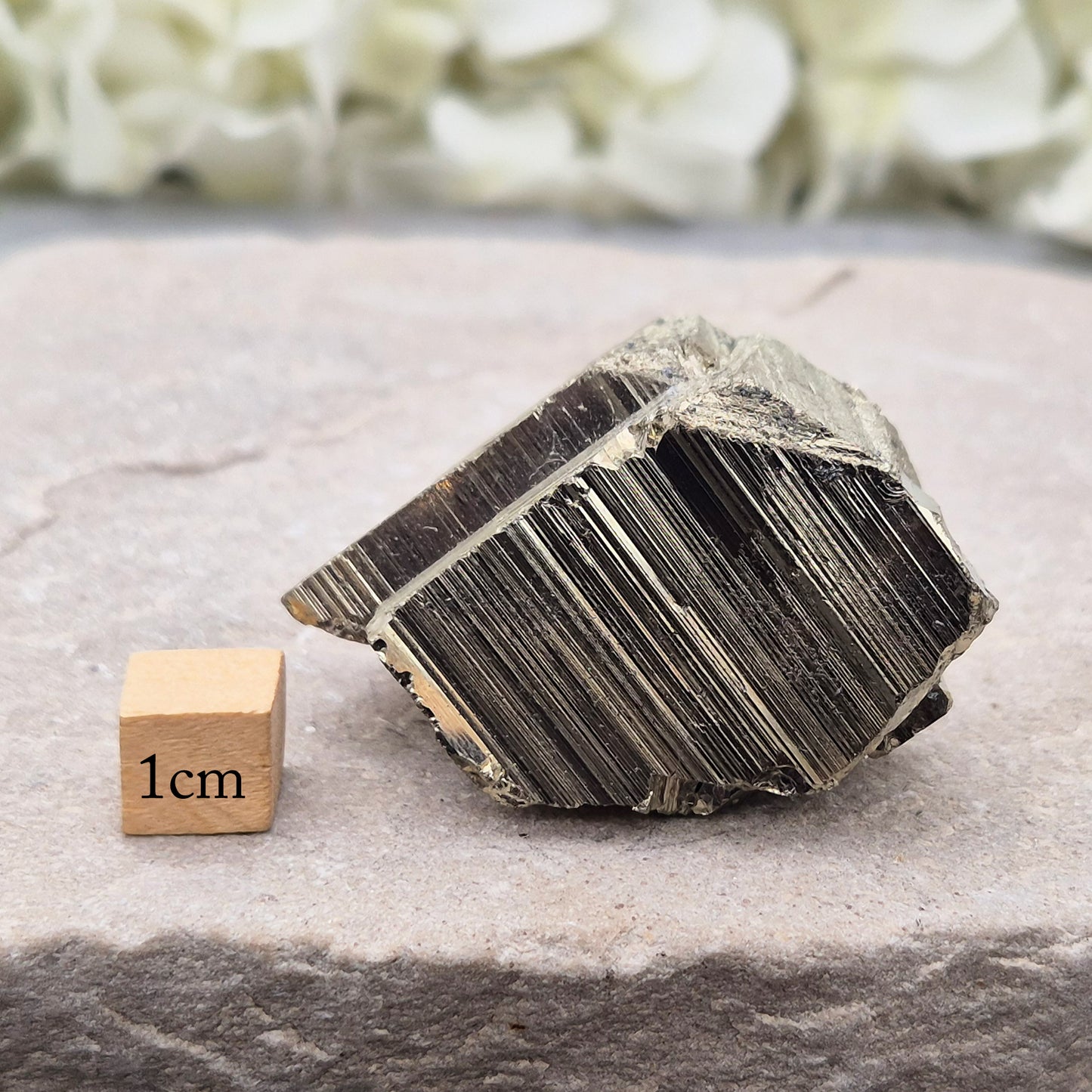 Pyrite specimen with striated face and bright metallic shine. Sparkling smooth and natural texture, ideal for display, grounding energy, or crystal collections.