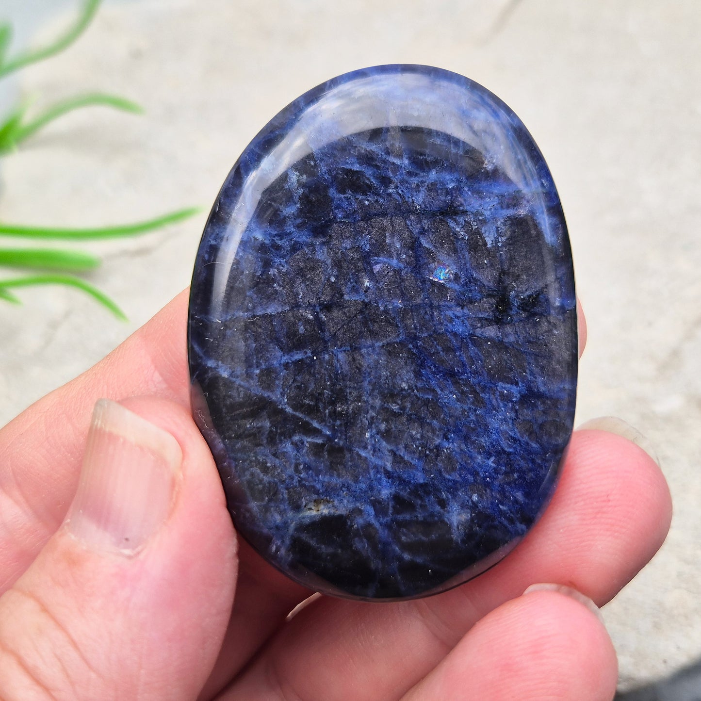 Beautiful A-grade Sodalite palm stone from Namibia. Supports clear thinking, confidence in communication, and emotional calm. Throat & Third Eye chakra crystal.