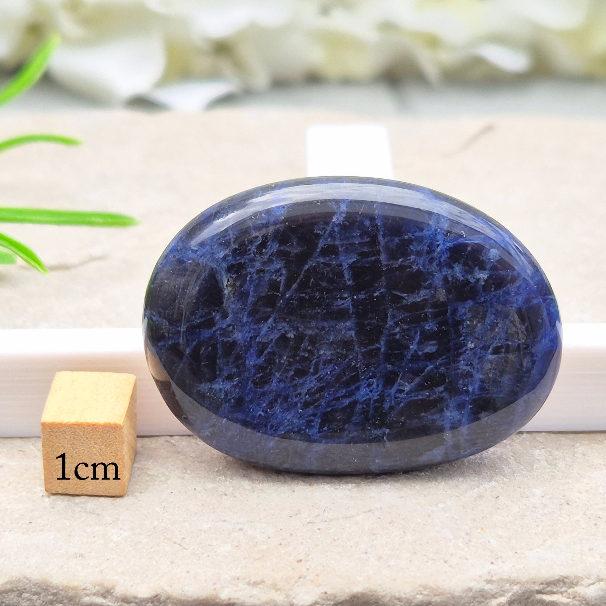 Beautiful A-grade Sodalite palm stone from Namibia. Supports clear thinking, confidence in communication, and emotional calm. Throat & Third Eye chakra crystal.
