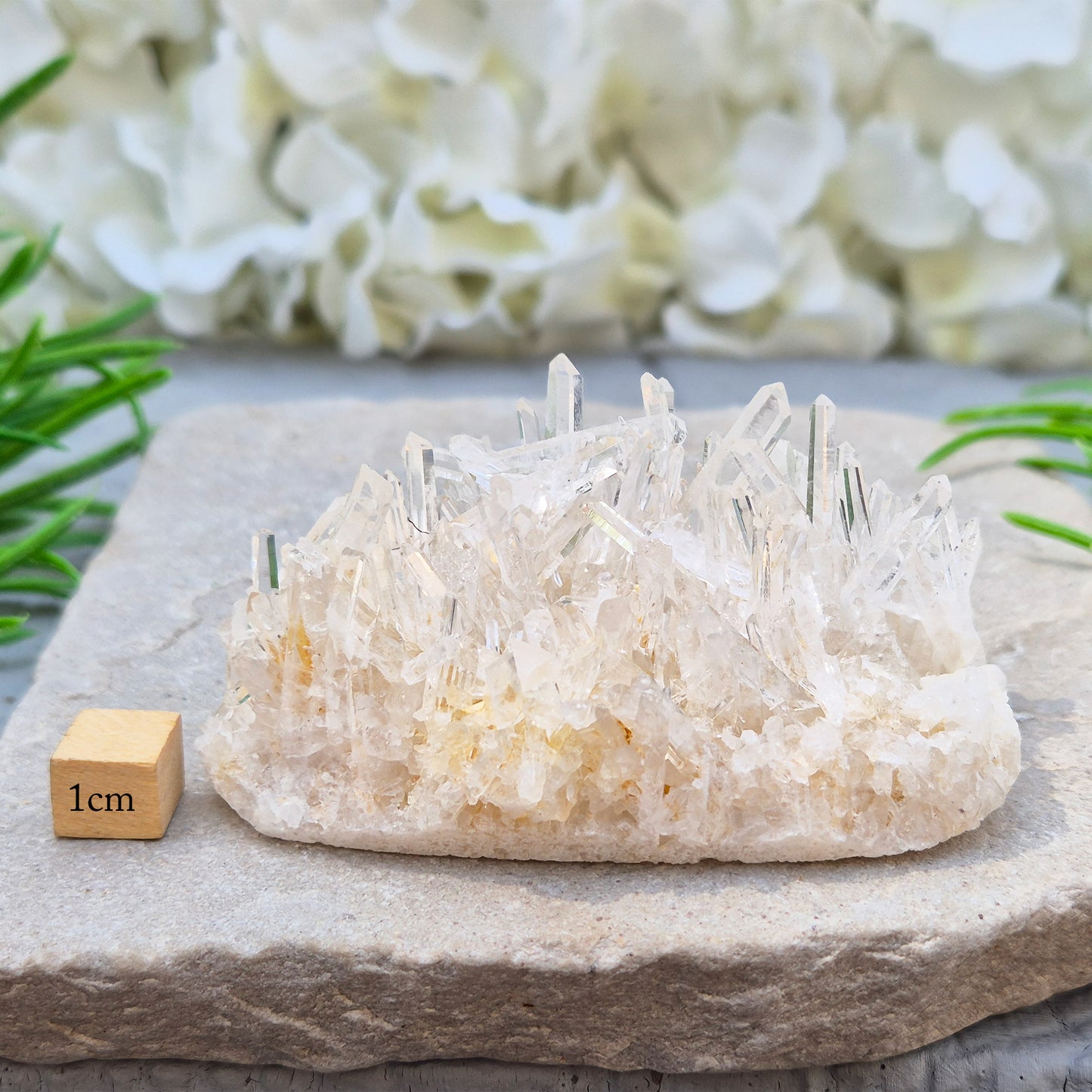 Himalayan Quartz Cluster from India. High-altitude, hand-mined crystal for grounding, focus, energy balance and amplifying other stones.