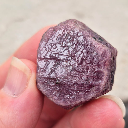 Rare Ruby Record Keeper with natural triangle markings. A deep healing stone for intuition, past life insight, courage, and soul truth.