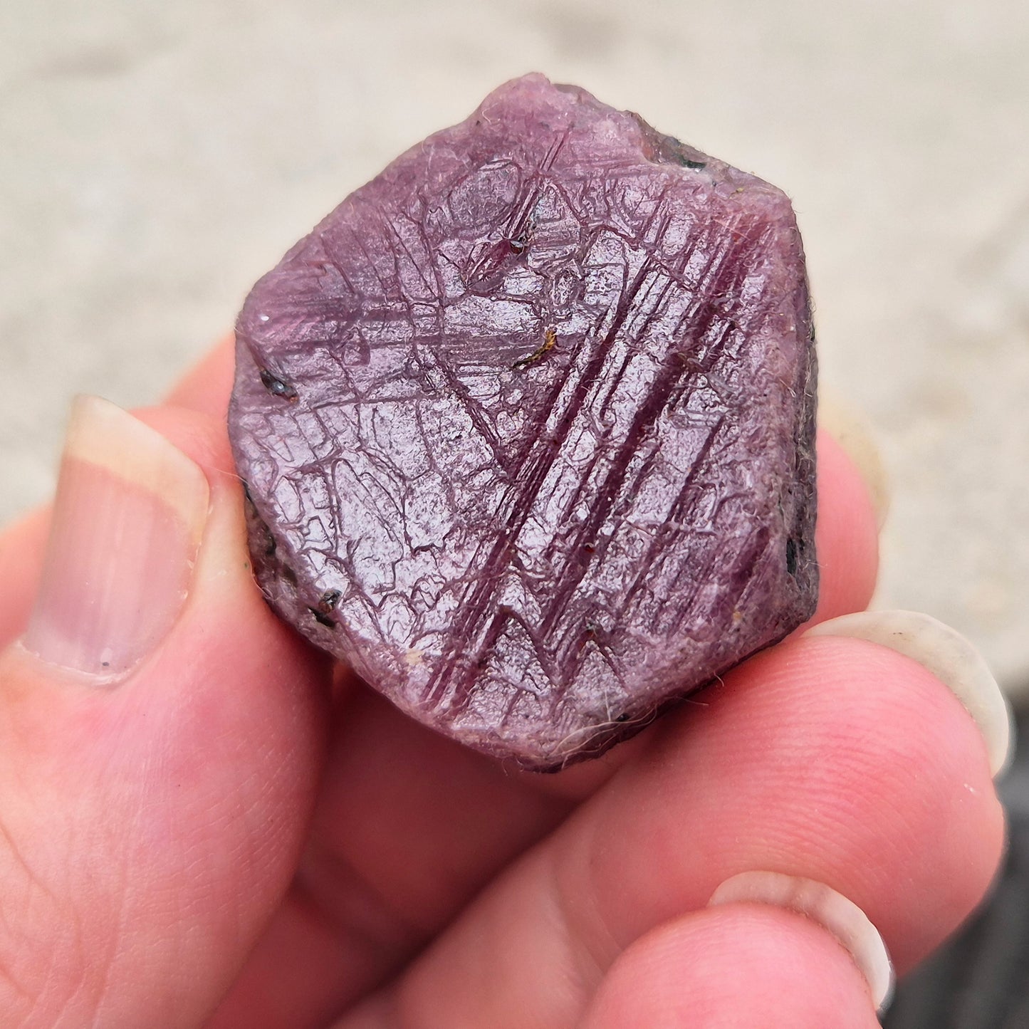 Rare Ruby Record Keeper with natural triangle markings. A deep healing stone for intuition, past life insight, courage, and soul truth.