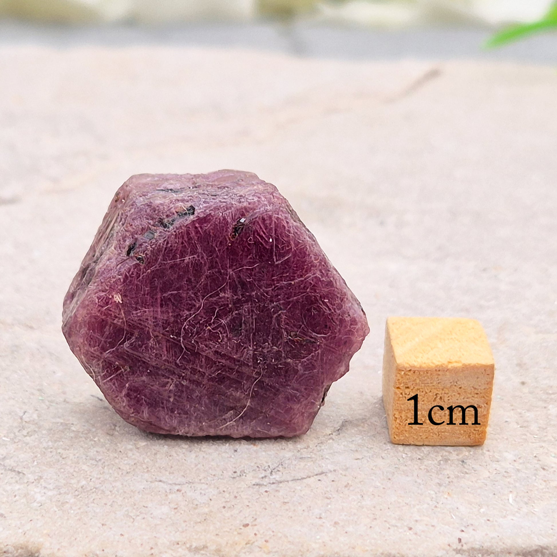 Rare Ruby Record Keeper with natural triangle markings. A deep healing stone for intuition, past life insight, courage, and soul truth.