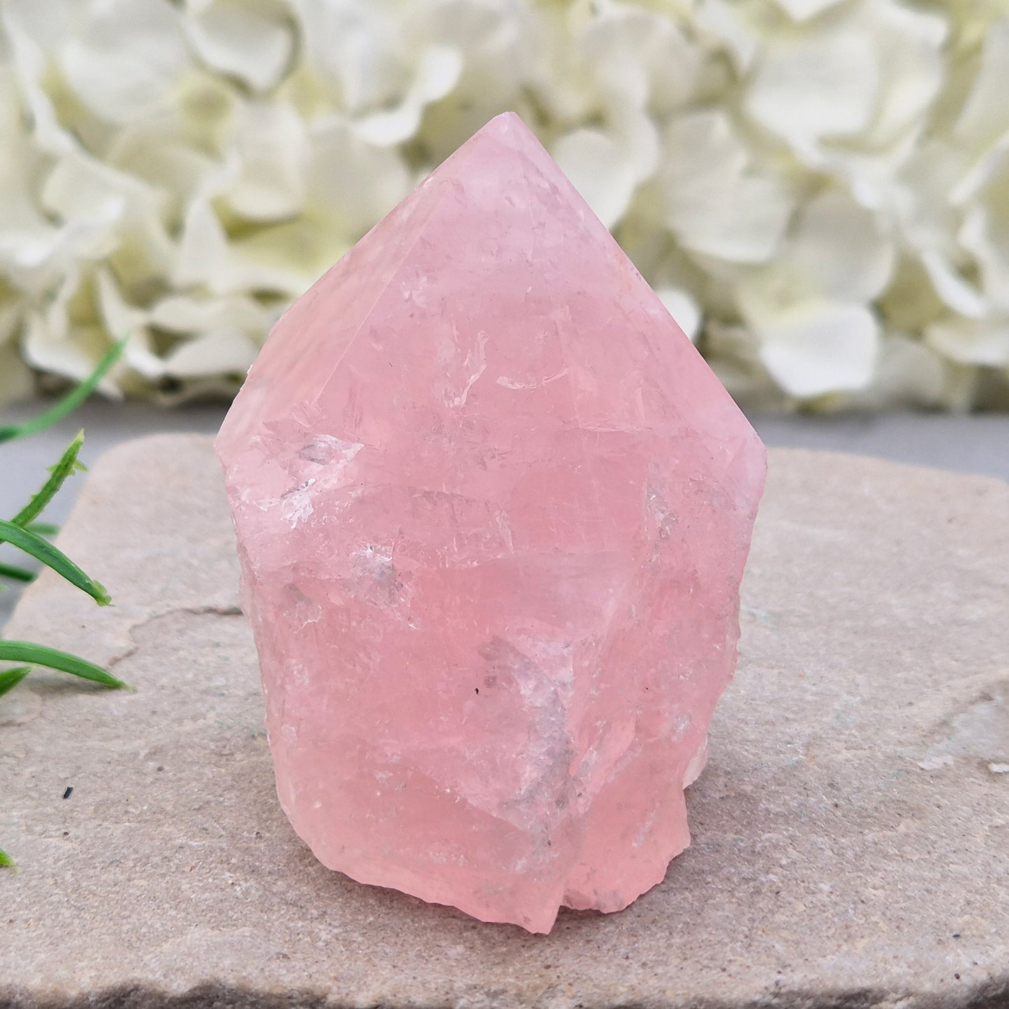 Pink Rose Quartz standing point from Brazil. Promotes self-love, calm, and emotional healing. Perfect for display, meditation, or heart chakra work. 
