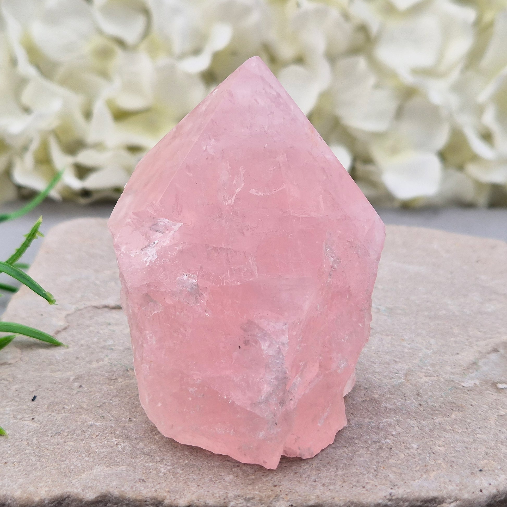 Pink Rose Quartz standing point from Brazil. Promotes self-love, calm, and emotional healing. Perfect for display, meditation, or heart chakra work. 