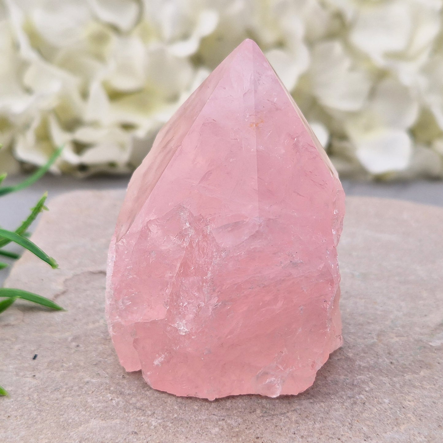 Pink Rose Quartz standing point from Brazil. Promotes self-love, calm, and emotional healing. Perfect for display, meditation, or heart chakra work. 