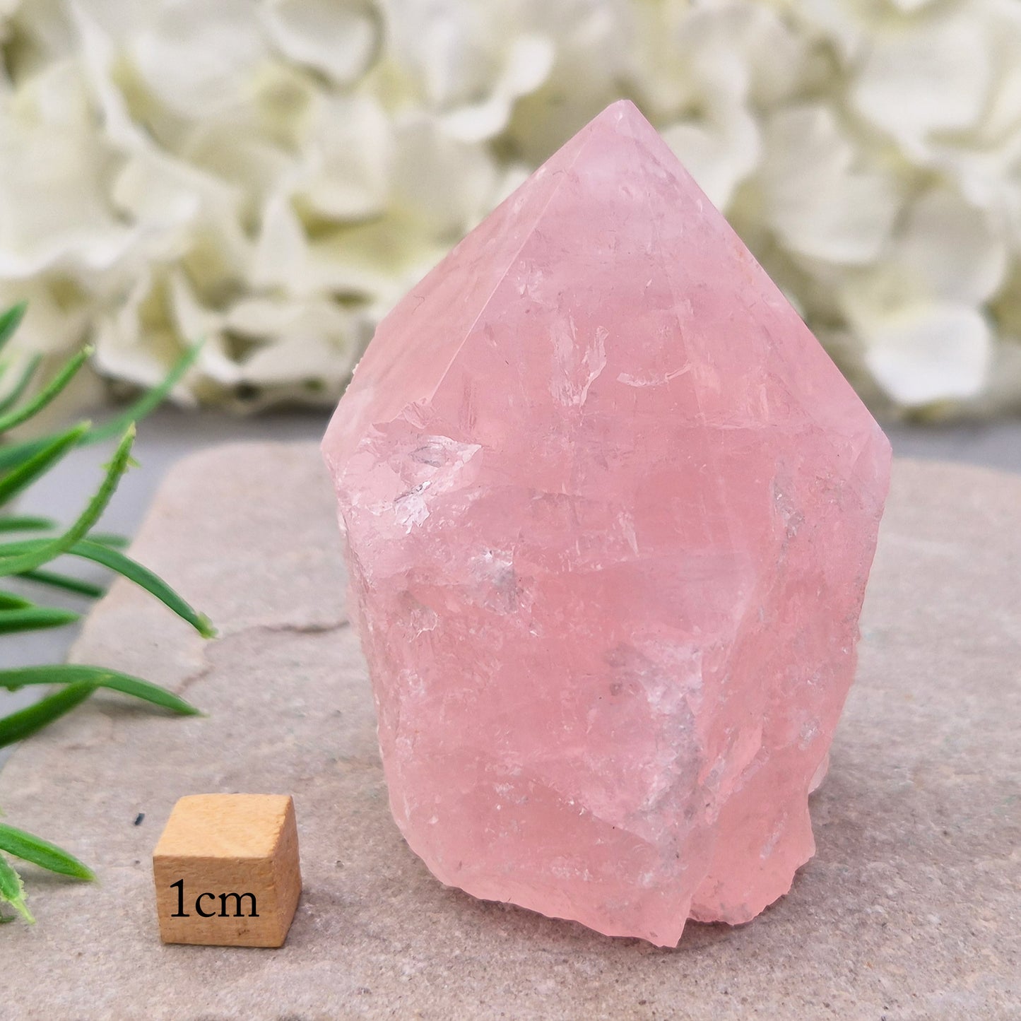 Pink Rose Quartz standing point from Brazil. Promotes self-love, calm, and emotional healing. Perfect for display, meditation, or heart chakra work. 