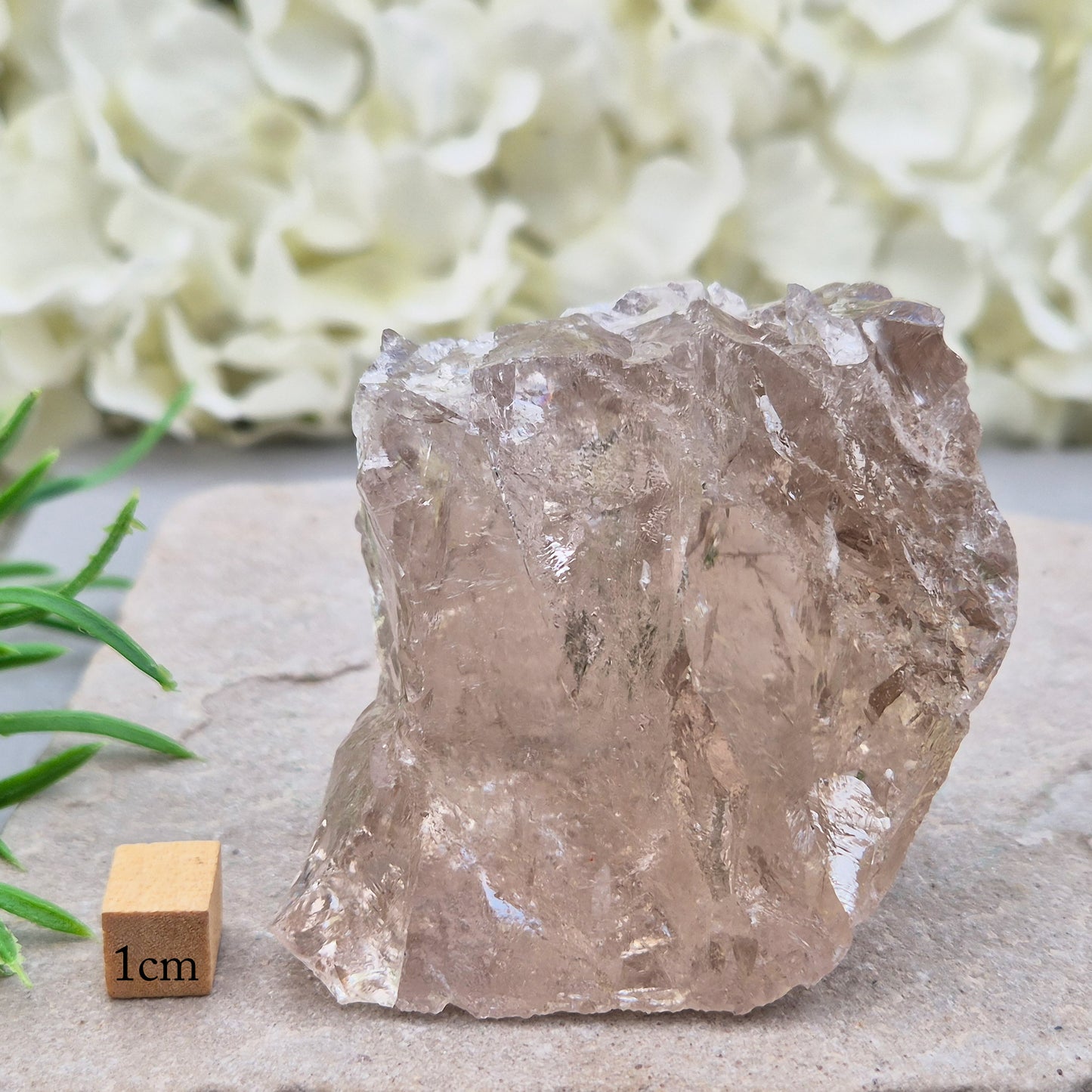 Smoky Quartz freeform from Brazil with polished face and natural sides. A grounding crystal for protection, calm focus, and emotional release.