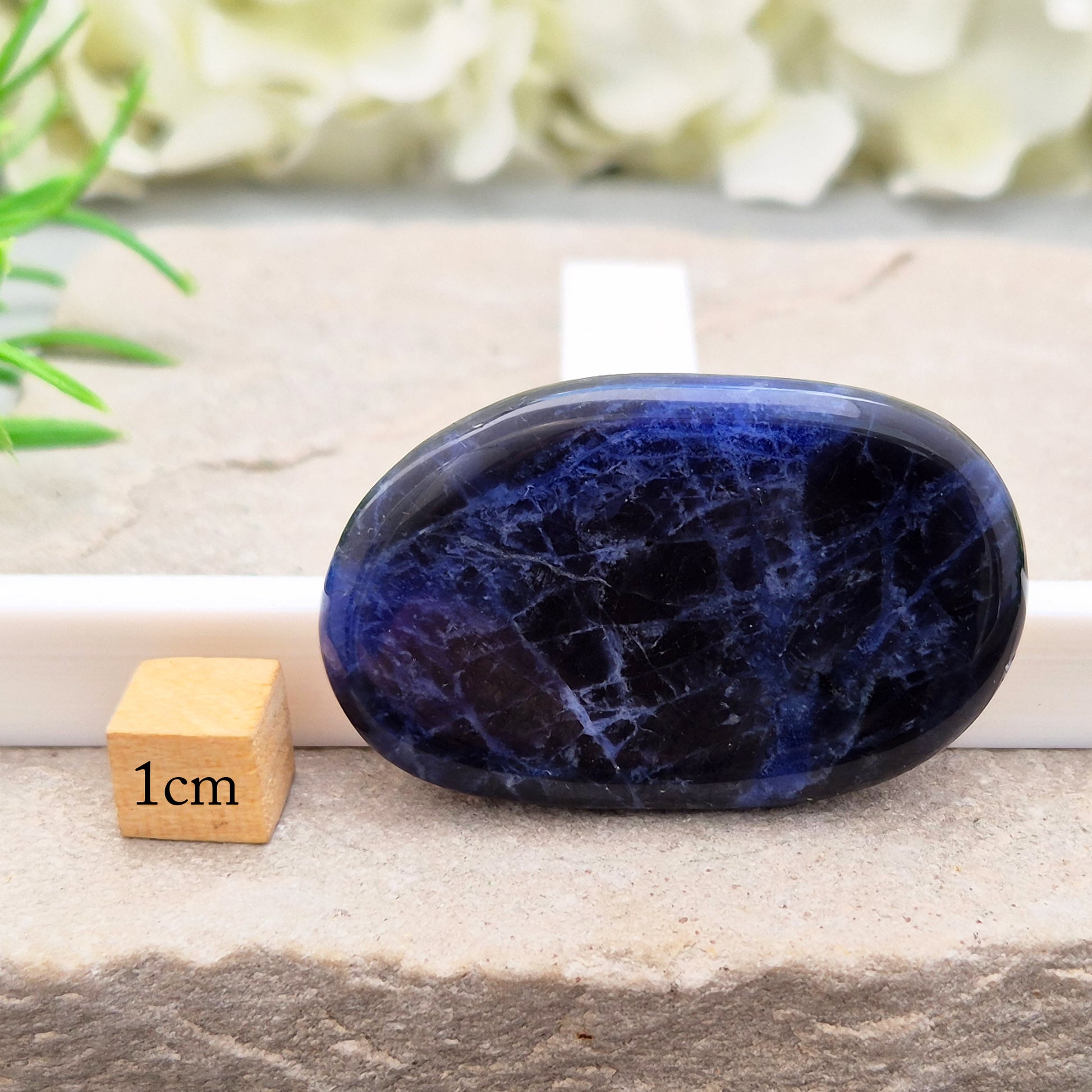 Beautiful A-grade Sodalite palm stone from Namibia. Supports clear thinking, confidence in communication, and emotional calm. Throat & Third Eye chakra crystal.