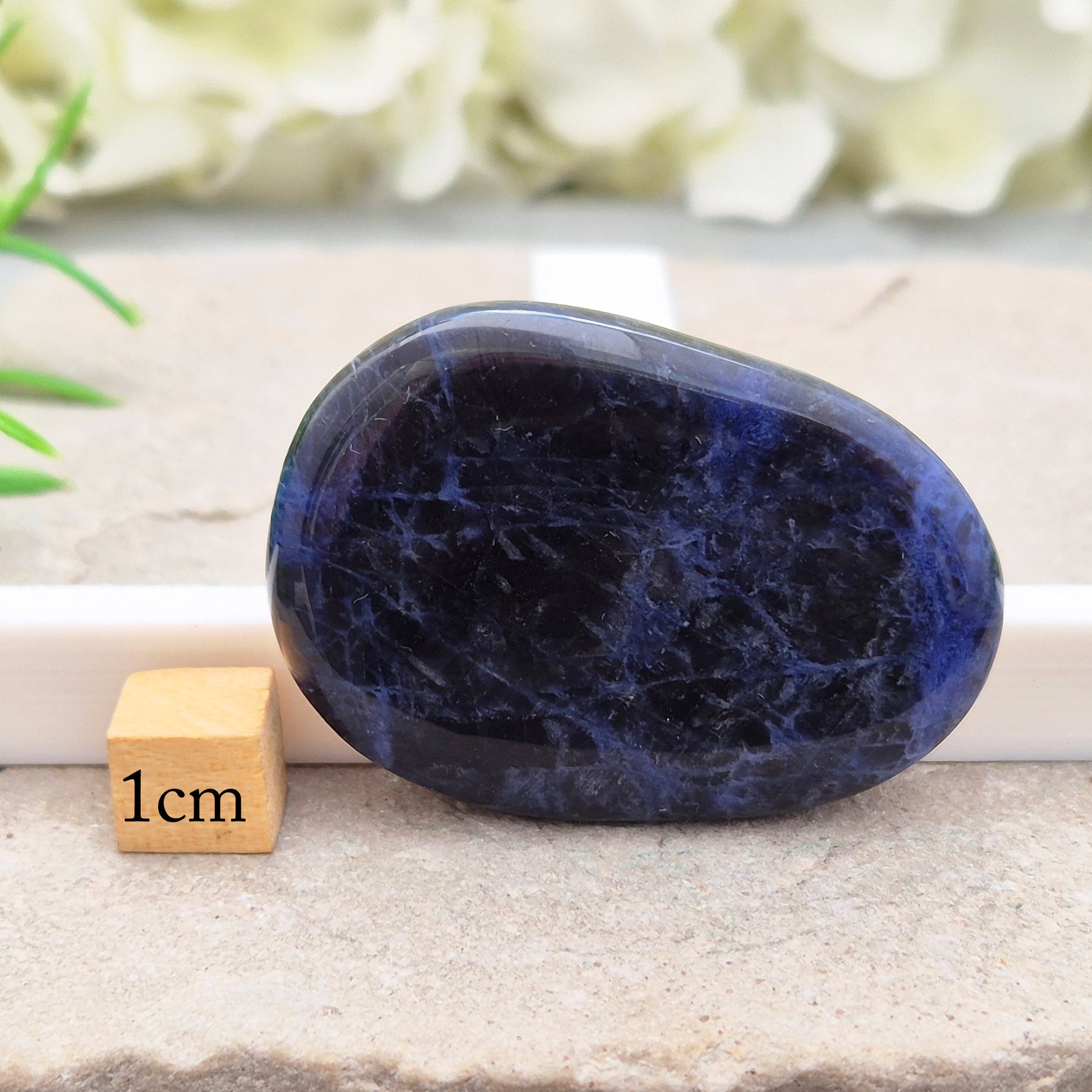 Beautiful A-grade Sodalite palm stone from Namibia. Supports clear thinking, confidence in communication, and emotional calm. Carry with you.