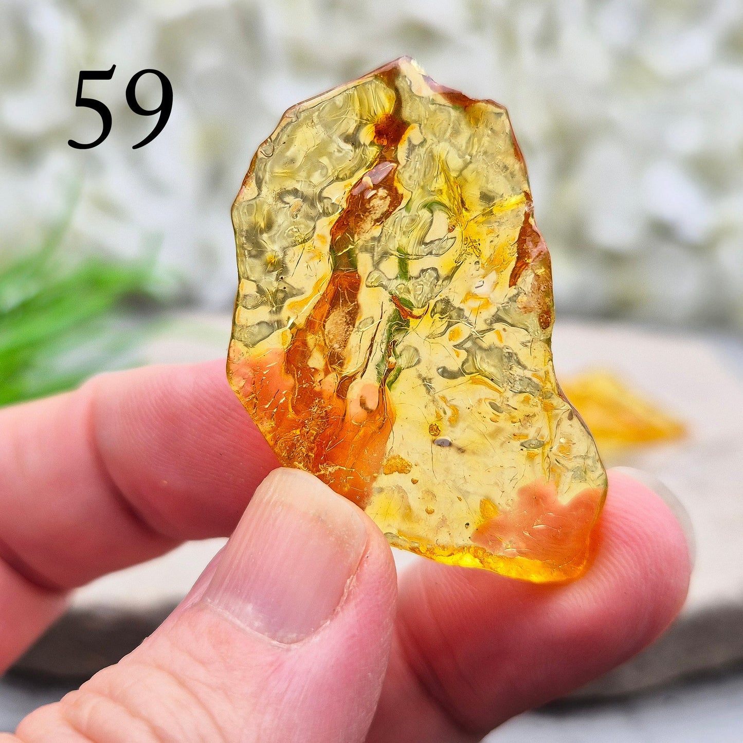 Copal Amber, Colombian