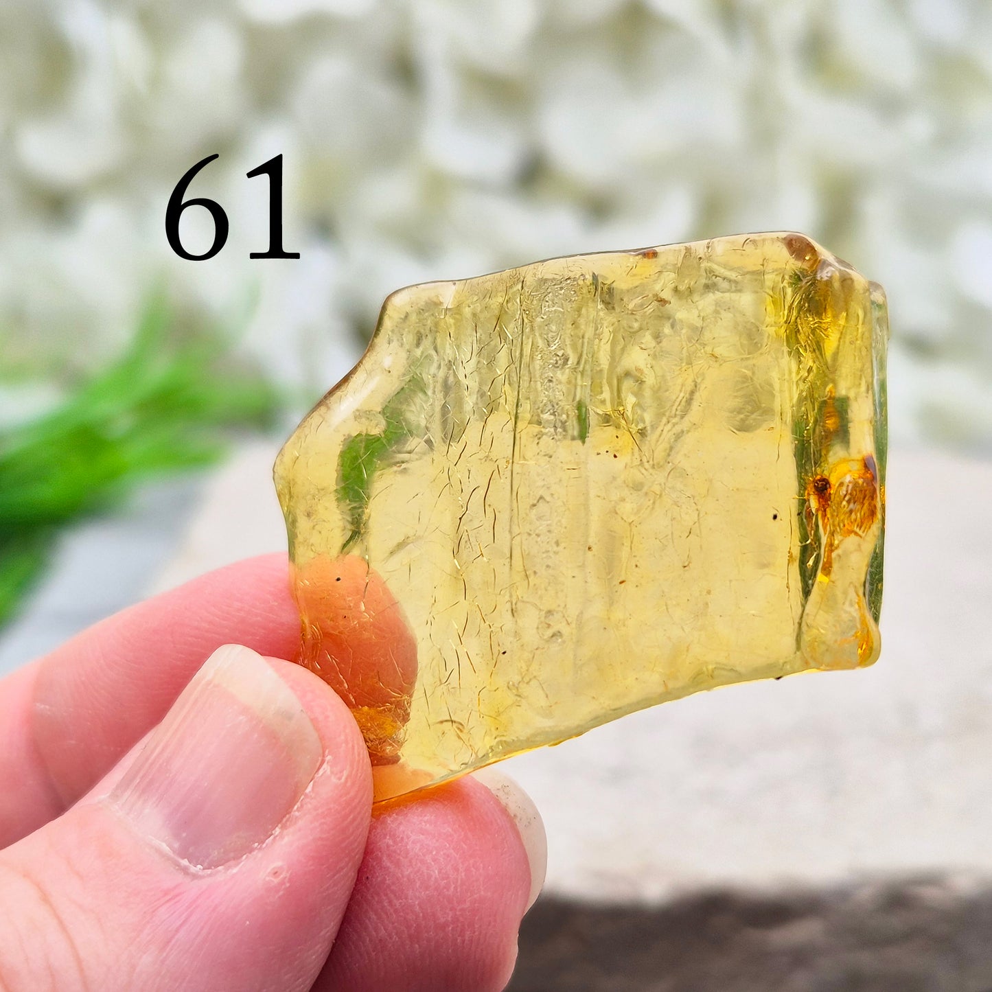 Copal is younger than traditional Baltic Amber, giving it a brighter, more translucent look and a lighter feel in the hand.