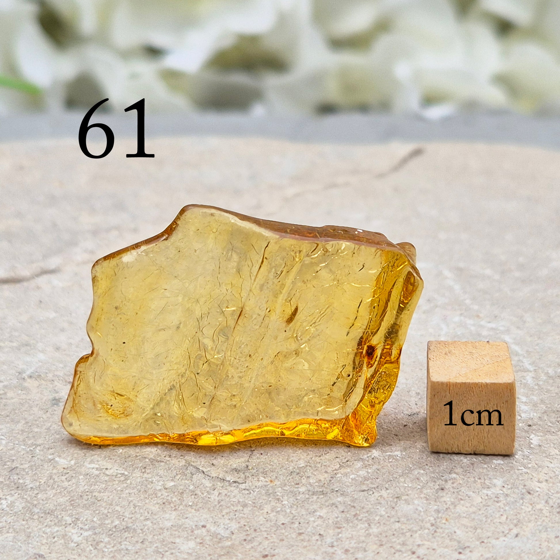 Copal is younger than traditional Baltic Amber, giving it a brighter, more translucent look and a lighter feel in the hand.