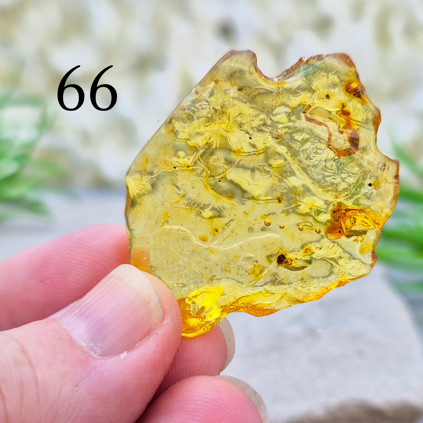 Copal is younger than traditional Baltic Amber, giving it a brighter, more translucent look and a lighter feel in the hand.