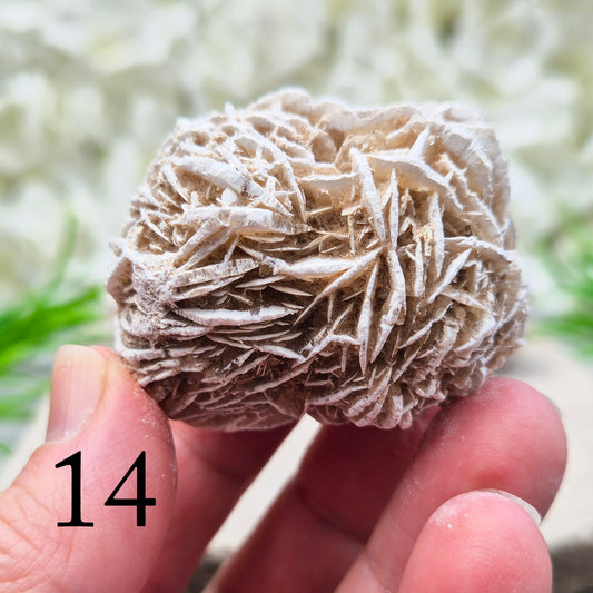 Natural Desert Rose Selenite, Mexico. Beautiful rose-shaped gypsum crystal for grounding, emotional balance, spiritual growth, meditation, and positive energy.