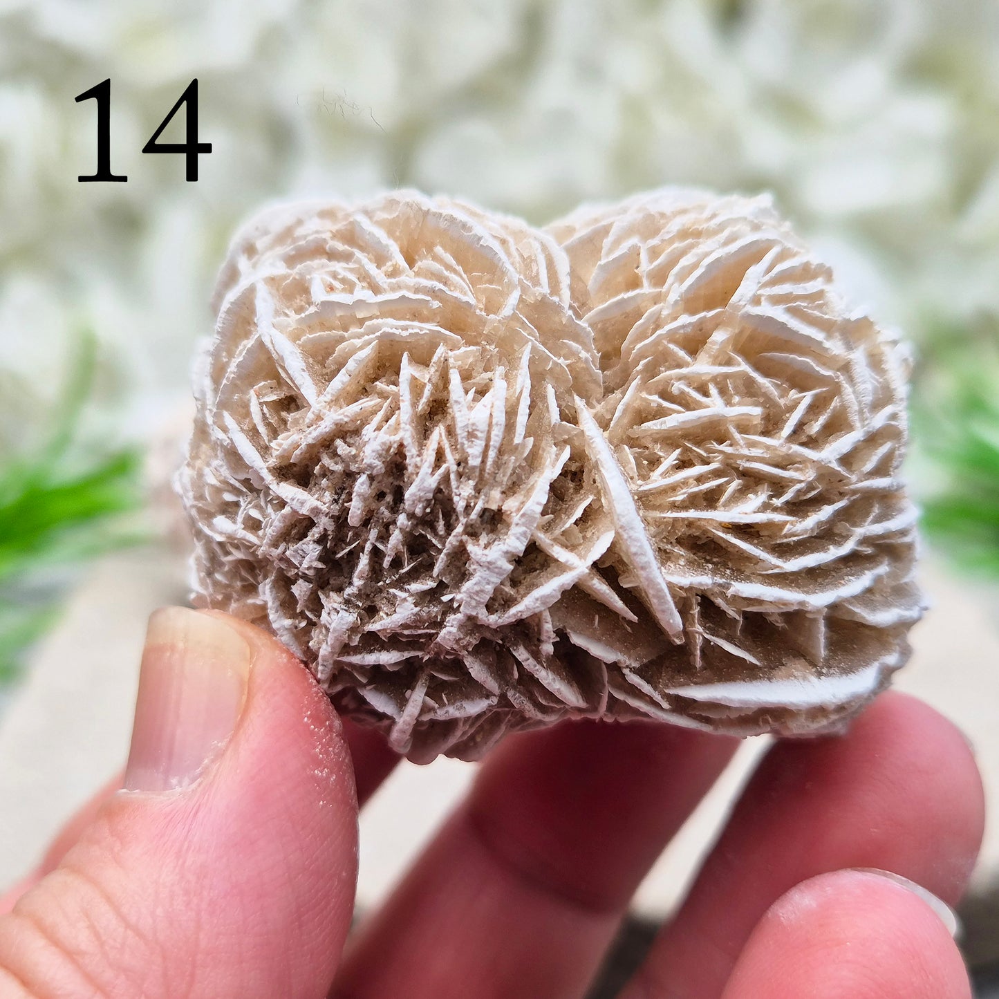 Natural Desert Rose Selenite, Mexico. Beautiful rose-shaped gypsum crystal for grounding, emotional balance, spiritual growth, meditation, and positive energy.