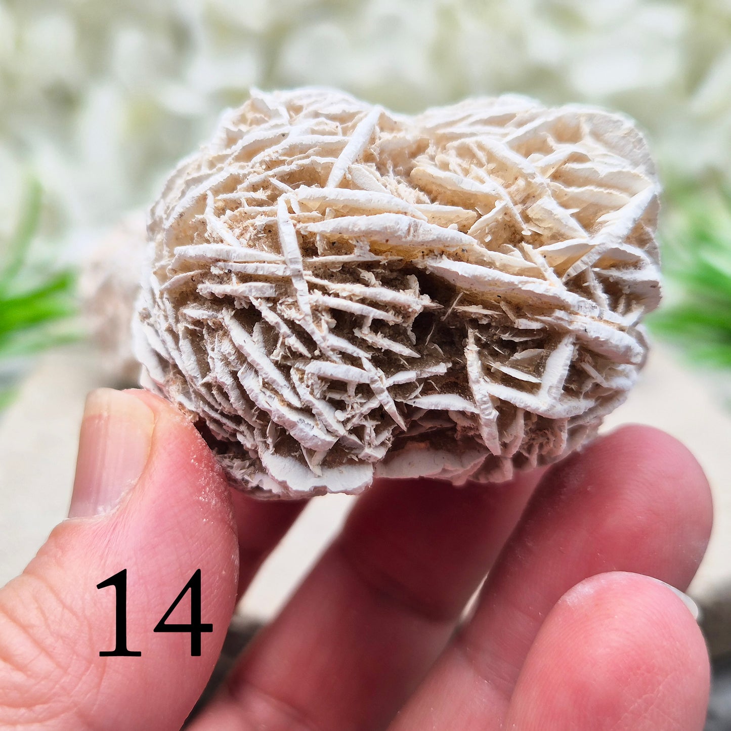 Natural Desert Rose Selenite, Mexico. Beautiful rose-shaped gypsum crystal for grounding, emotional balance, spiritual growth, meditation, and positive energy.