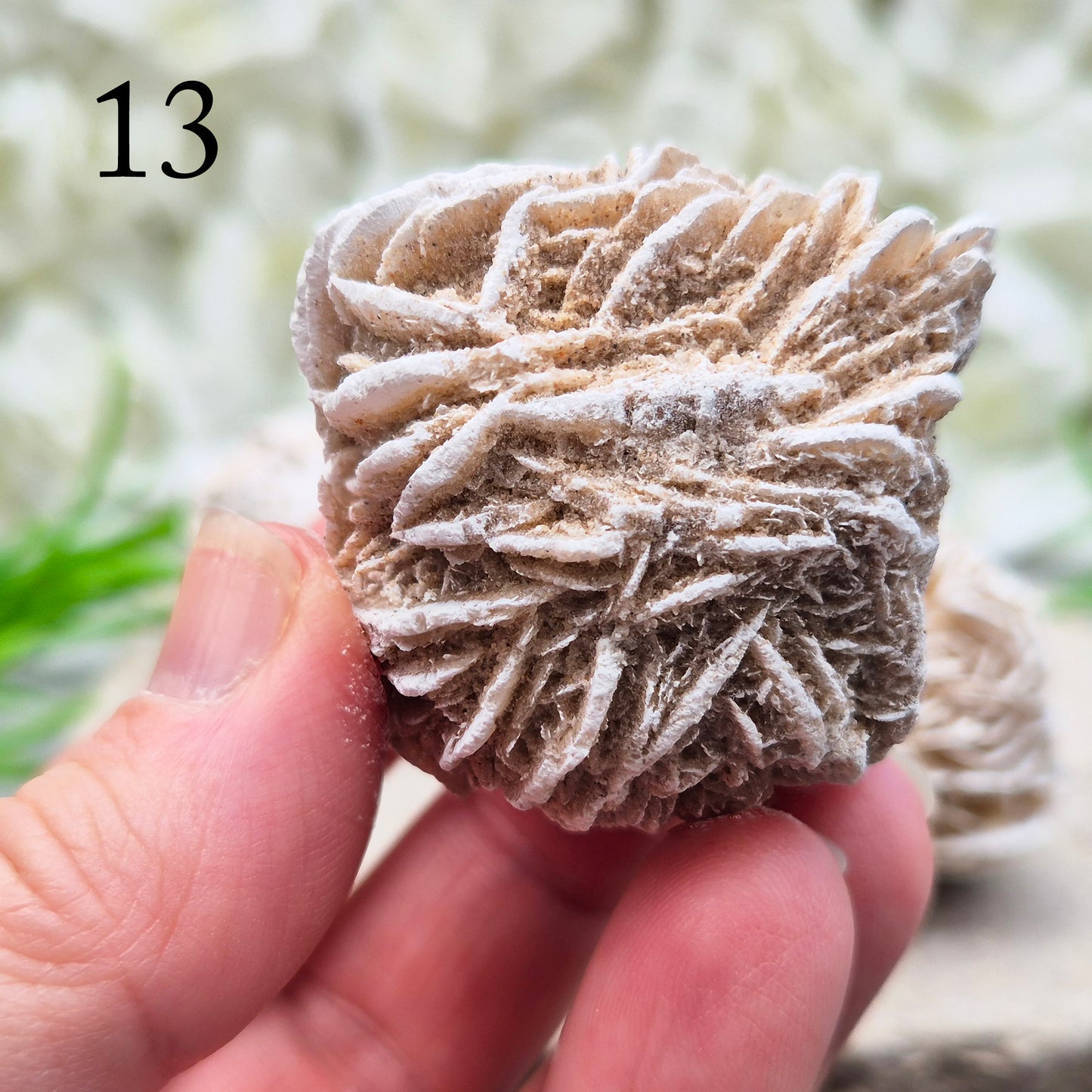 Natural Desert Rose Selenite, Mexico. Beautiful rose-shaped gypsum crystal for grounding, emotional balance, spiritual growth, meditation, and positive energy.