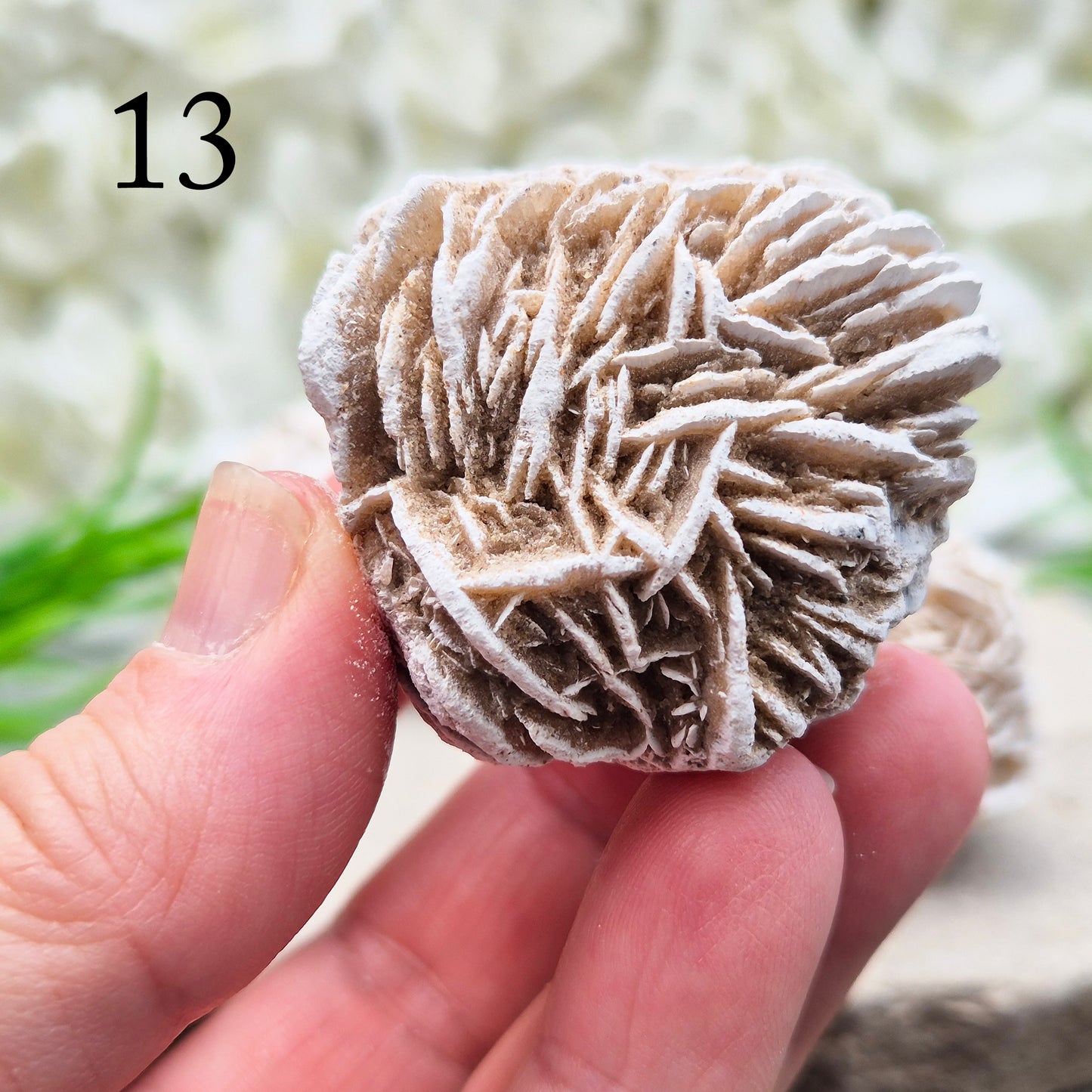 Natural Desert Rose Selenite, Mexico. Beautiful rose-shaped gypsum crystal for grounding, emotional balance, spiritual growth, meditation, and positive energy.