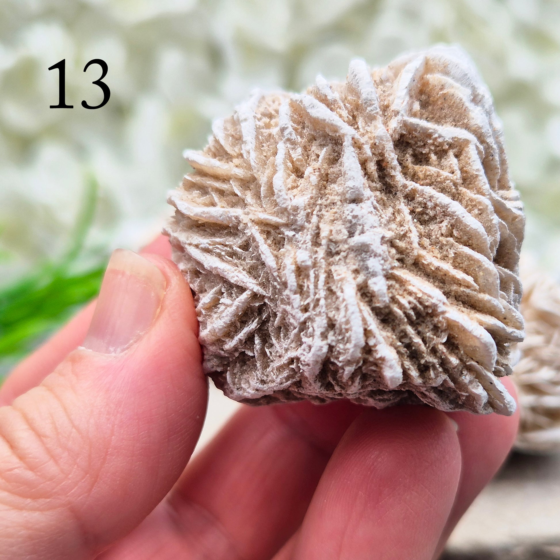 Natural Desert Rose Selenite, Mexico. Beautiful rose-shaped gypsum crystal for grounding, emotional balance, spiritual growth, meditation, and positive energy.