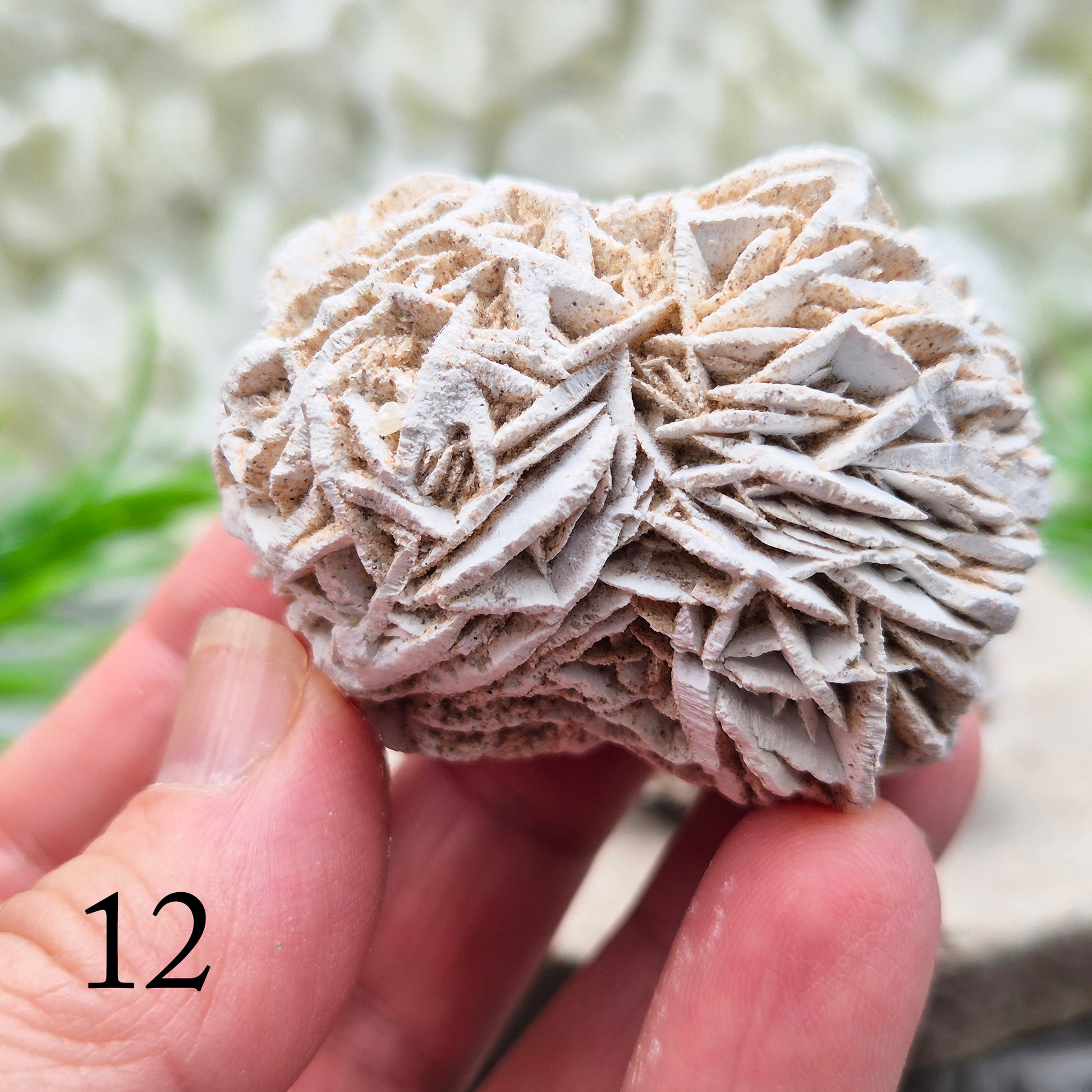 Natural Desert Rose Selenite, Mexico. Beautiful rose-shaped gypsum crystal for grounding, emotional balance, spiritual growth, meditation, and positive energy.