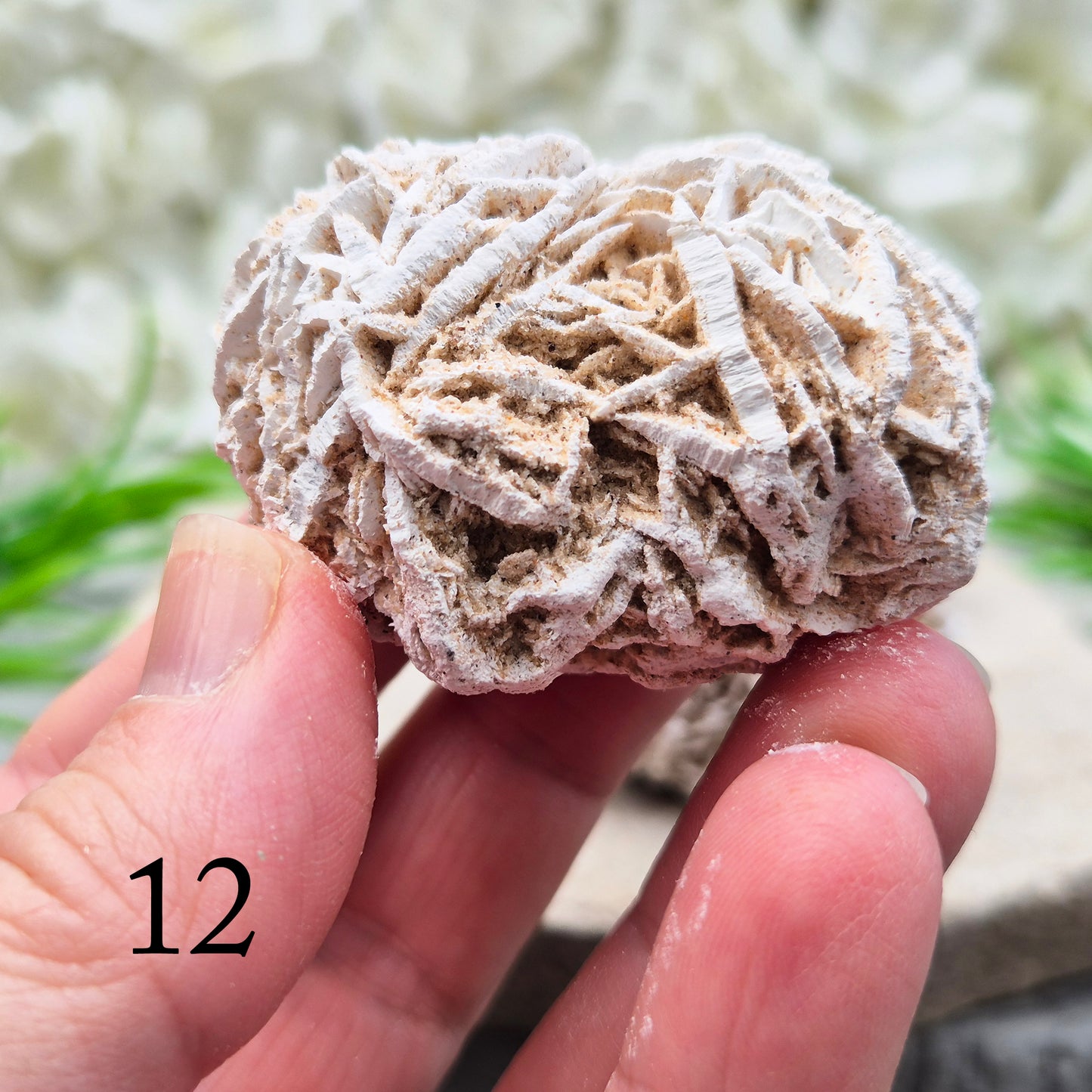 Natural Desert Rose Selenite, Mexico. Beautiful rose-shaped gypsum crystal for grounding, emotional balance, spiritual growth, meditation, and positive energy.