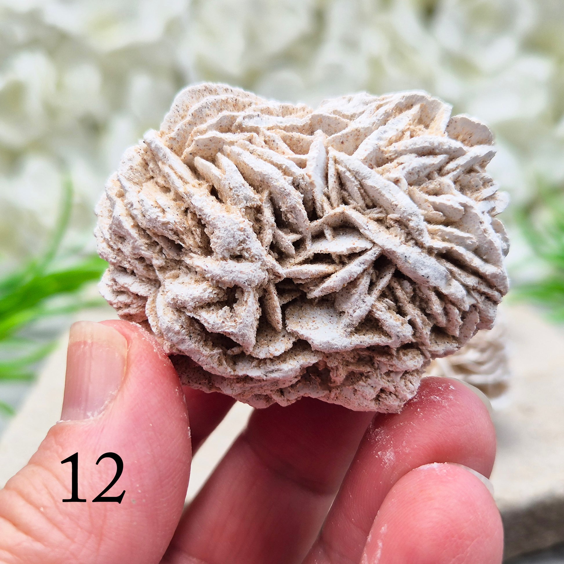 Natural Desert Rose Selenite, Mexico. Beautiful rose-shaped gypsum crystal for grounding, emotional balance, spiritual growth, meditation, and positive energy.