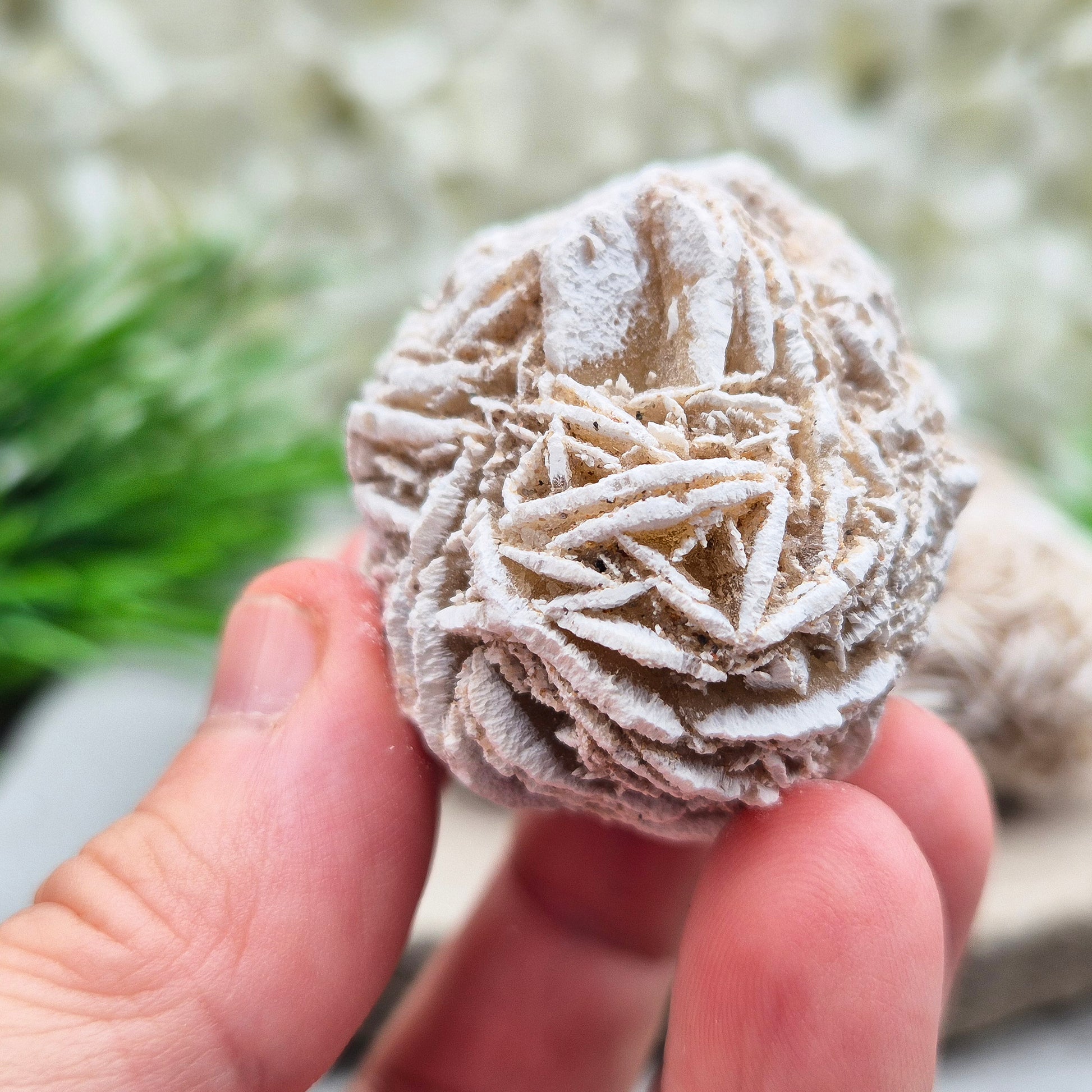 Natural Desert Rose Selenite, Mexico. Beautiful rose-shaped gypsum crystal for grounding, emotional balance, spiritual growth, meditation, and positive energy.