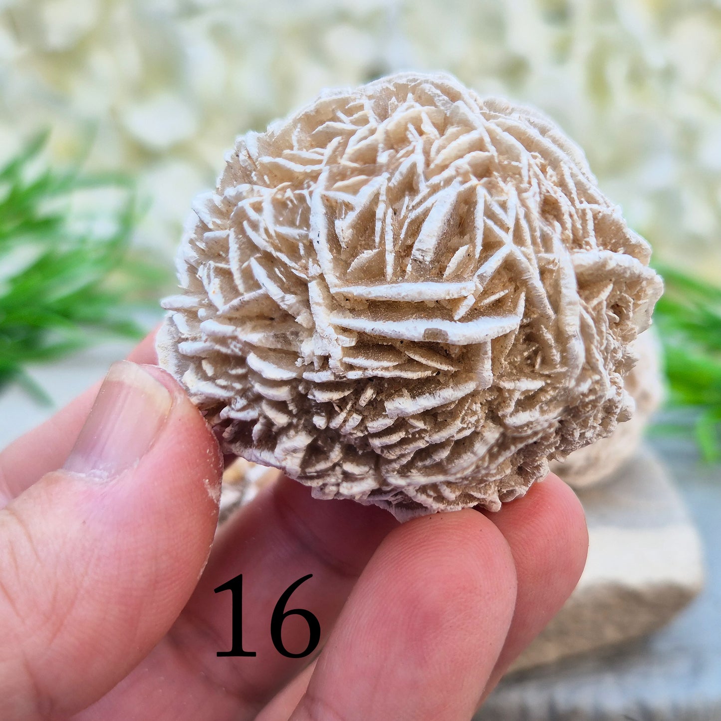 Desert Rose Crystal, Selenite Rose Clusters